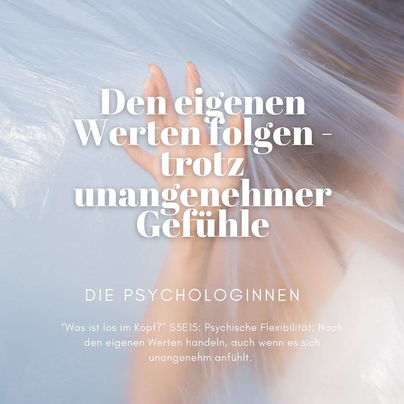 Psychische Flexibilität: Nach den eigenen Werten handeln, auch wenn es sich unangenehm anfühlt. episode artwork
