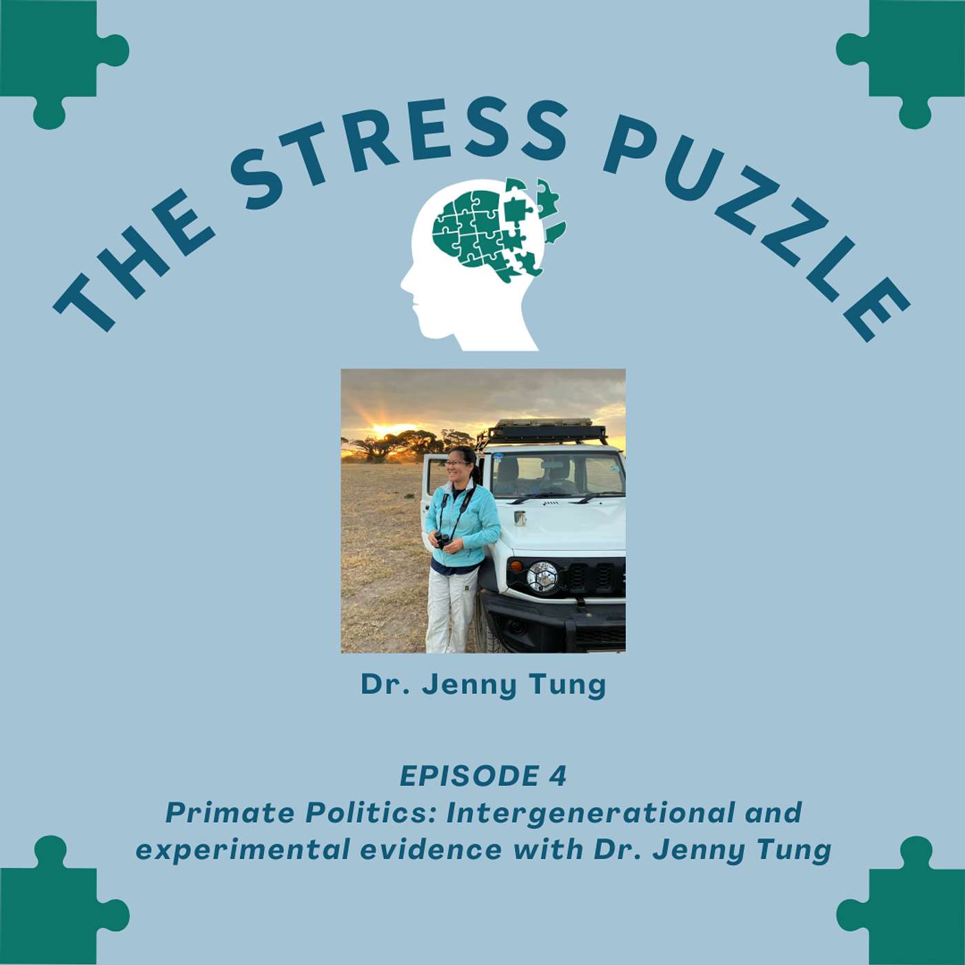 The Stress Puzzle