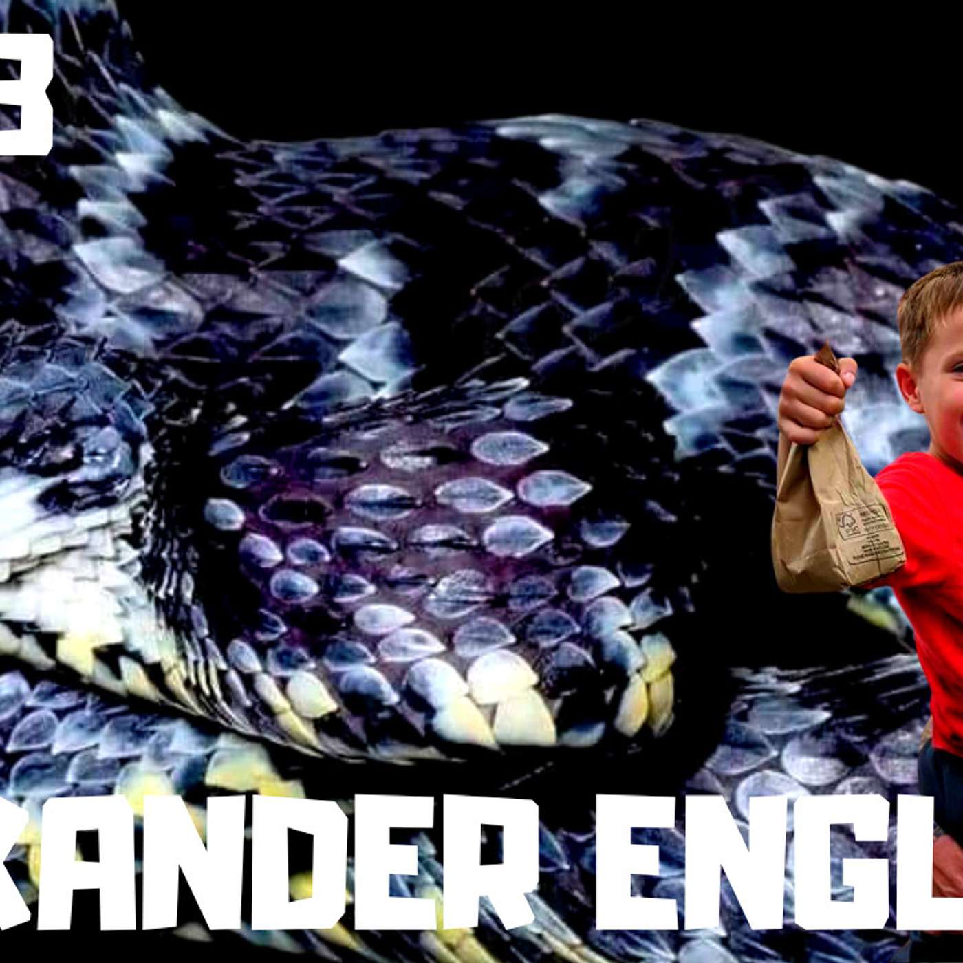 Alexander England breaks down his venomous collection & breeding program