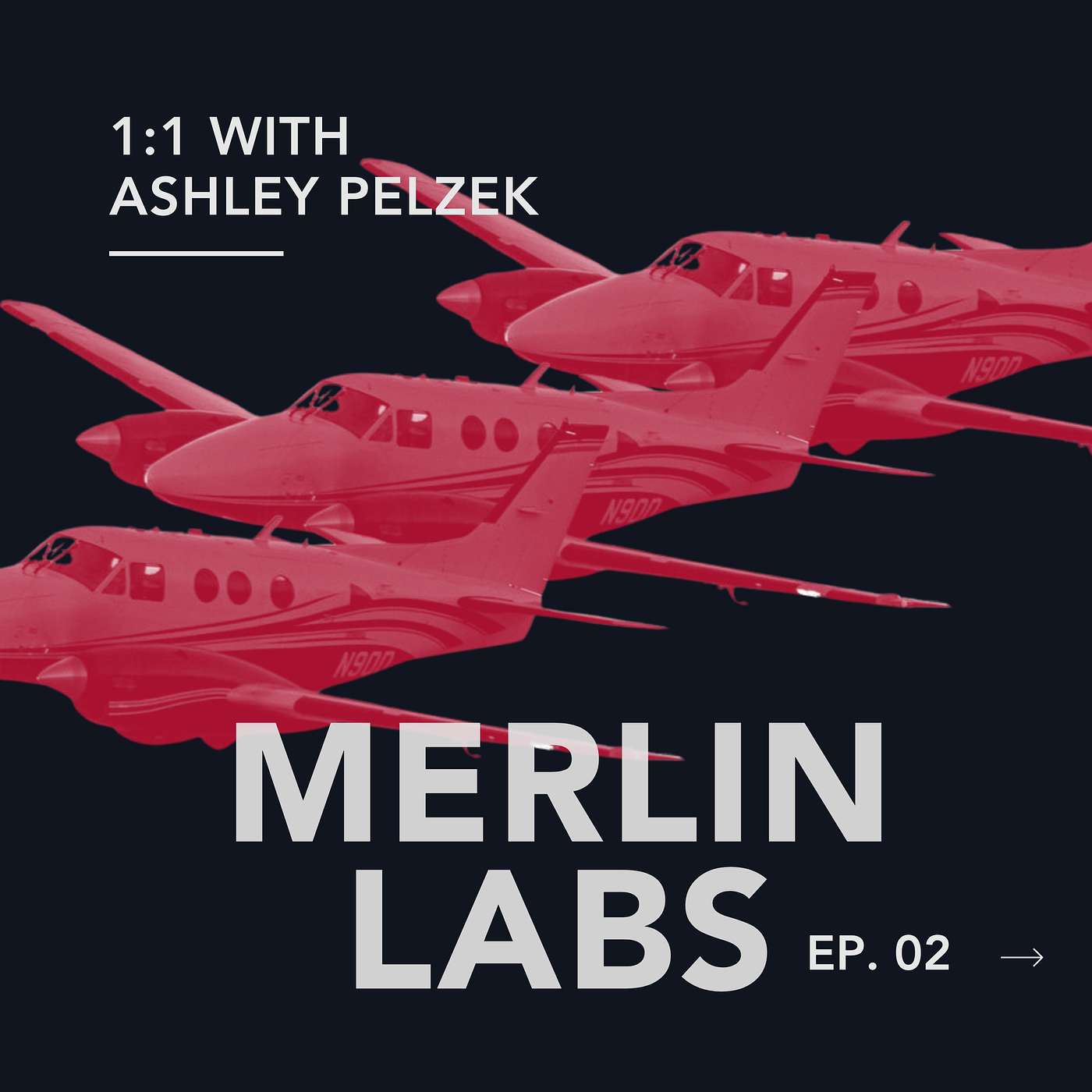 cover of episode 002: Ashley Pelzek, Merlin Labs VP of Business Operations