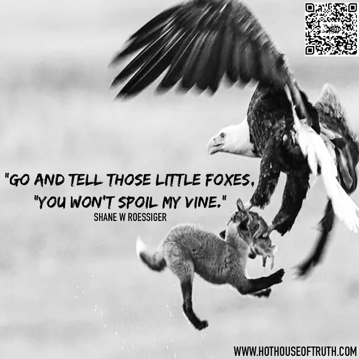 Little Foxes | Raposinhas By Shane W Roessiger - English & Portuguese