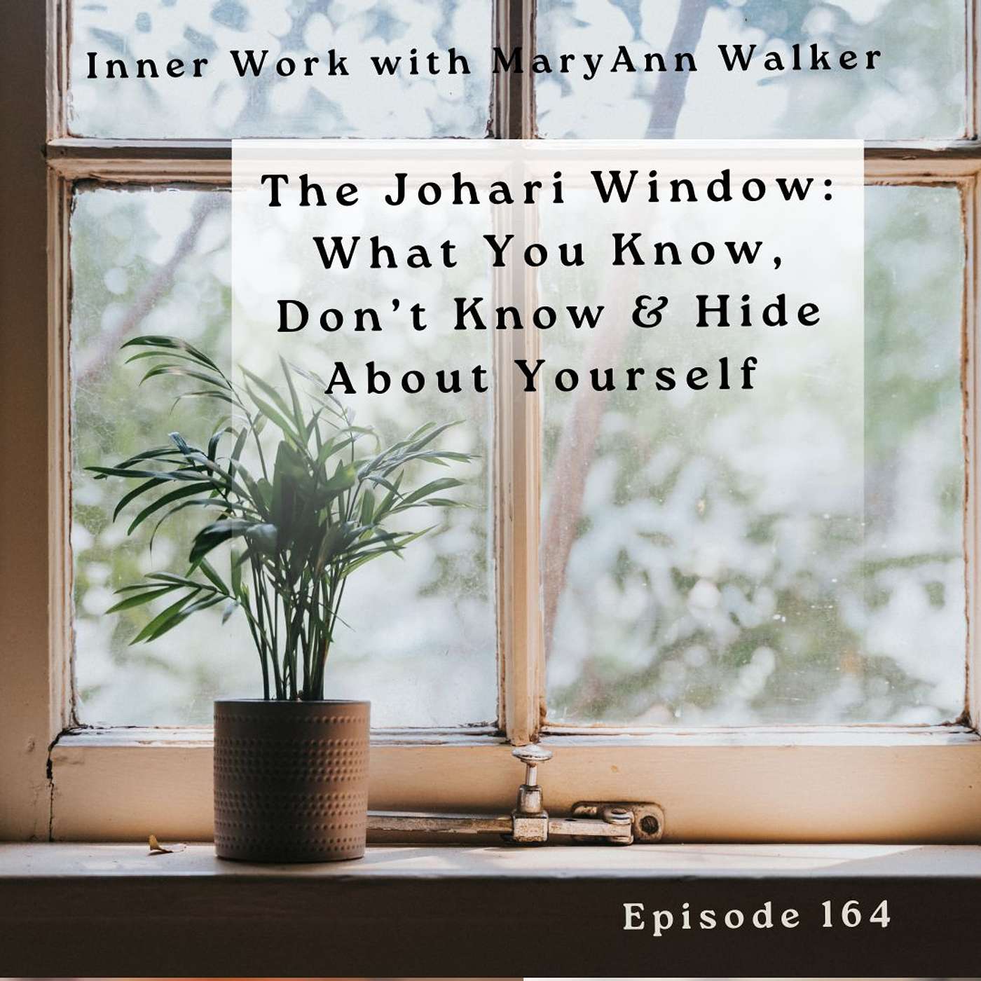 164: The Johari Window: What You Know, Don't Know & Hide About Yourself