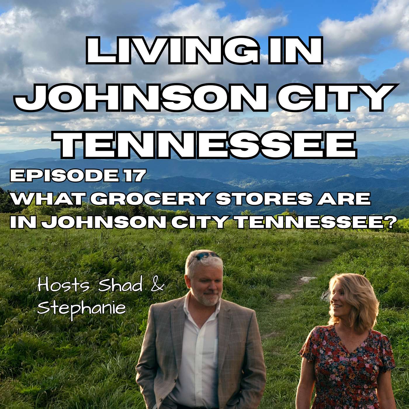 What Grocery Stores Are in Johnson City Tennessee? episode artwork
