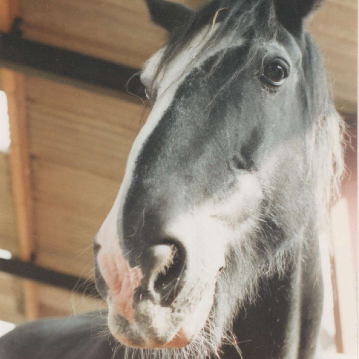 Keith Sanders the Storyman  Podcast