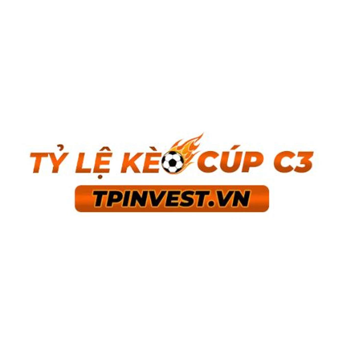 tpinvestvn