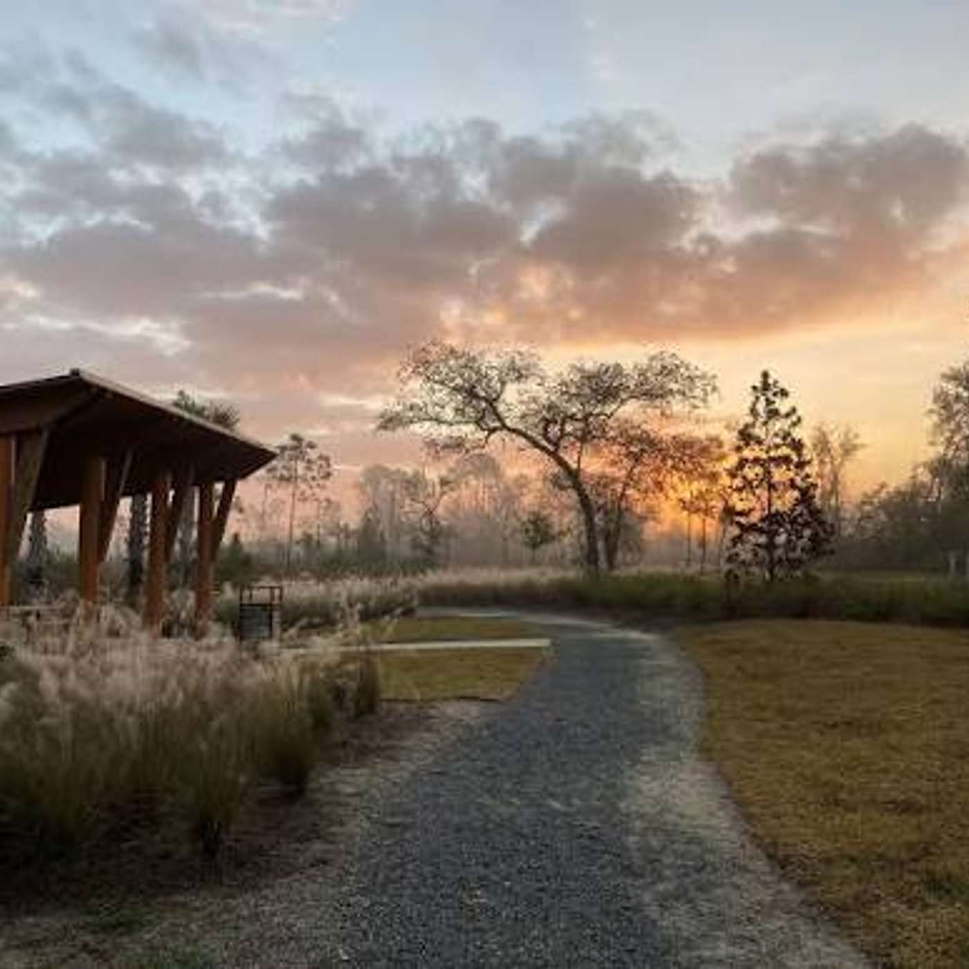 Into the Wild: Exploring Lynn Haven's Bayou Park and Preserve