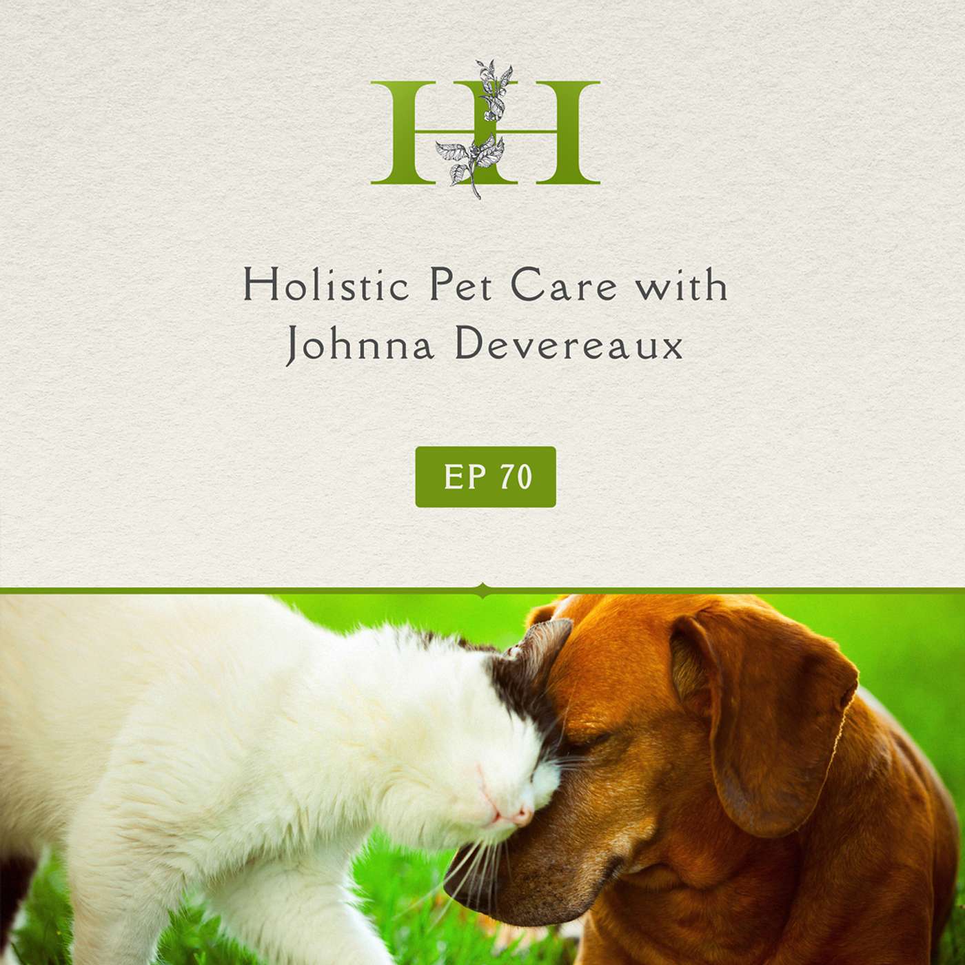 Holistic Pet Care with Johnna Devereaux - Ep. 70 - The Healing Home