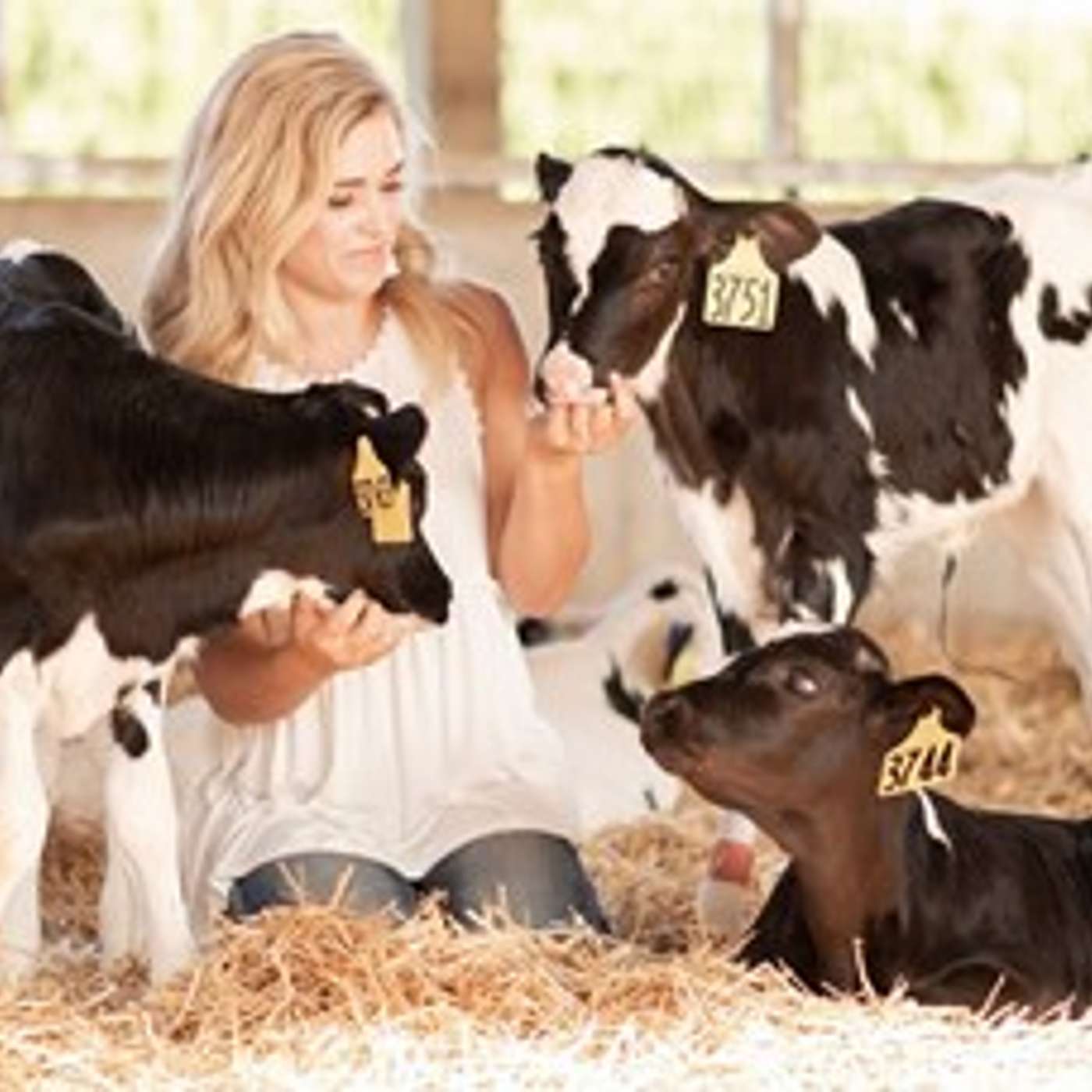 Episode 1.1 Raising Dairy Calves in Cool Seasons (featuring Jenna Facer) episode artwork