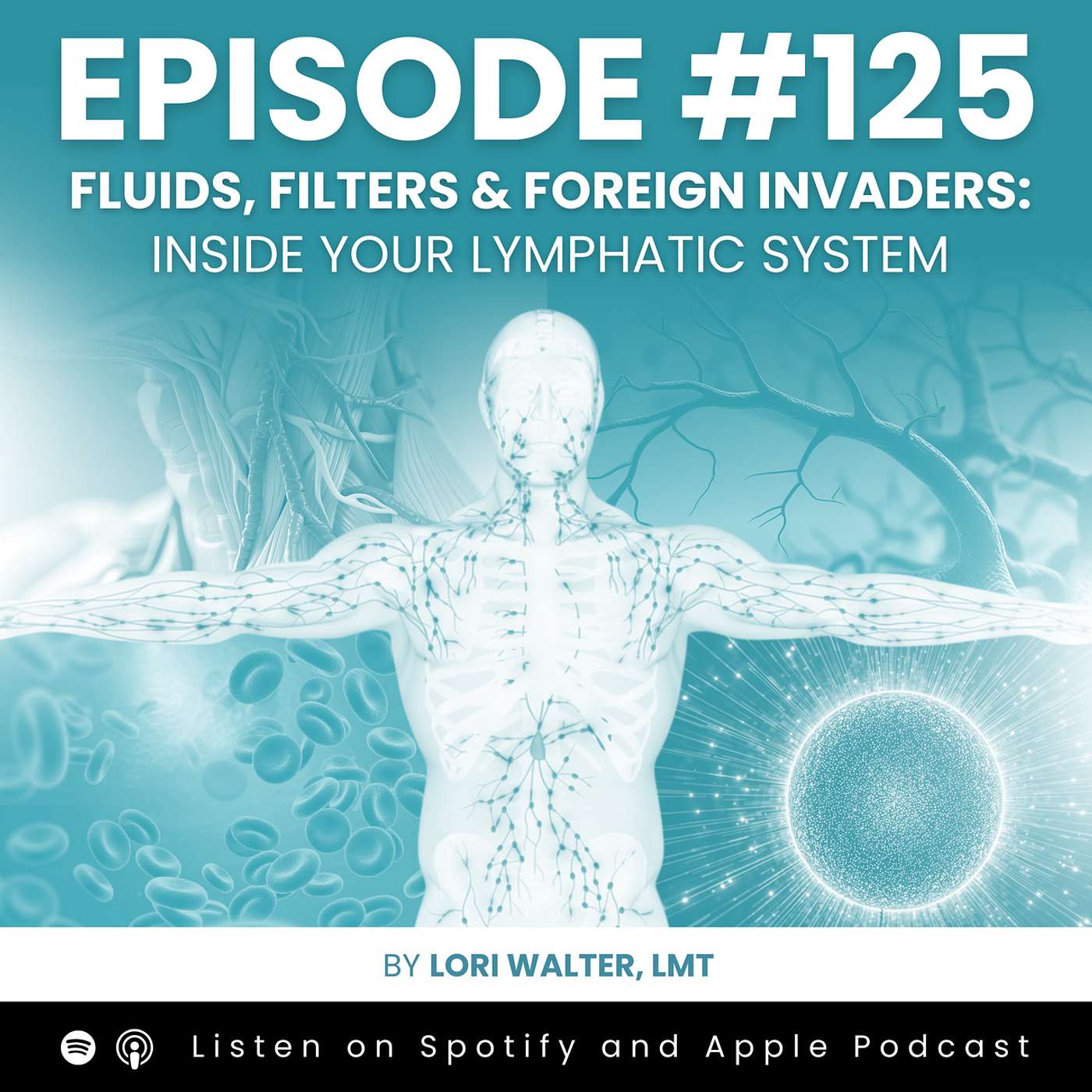 Fluids, Filters & Foreign Invaders: Inside Your Lymphatic System
