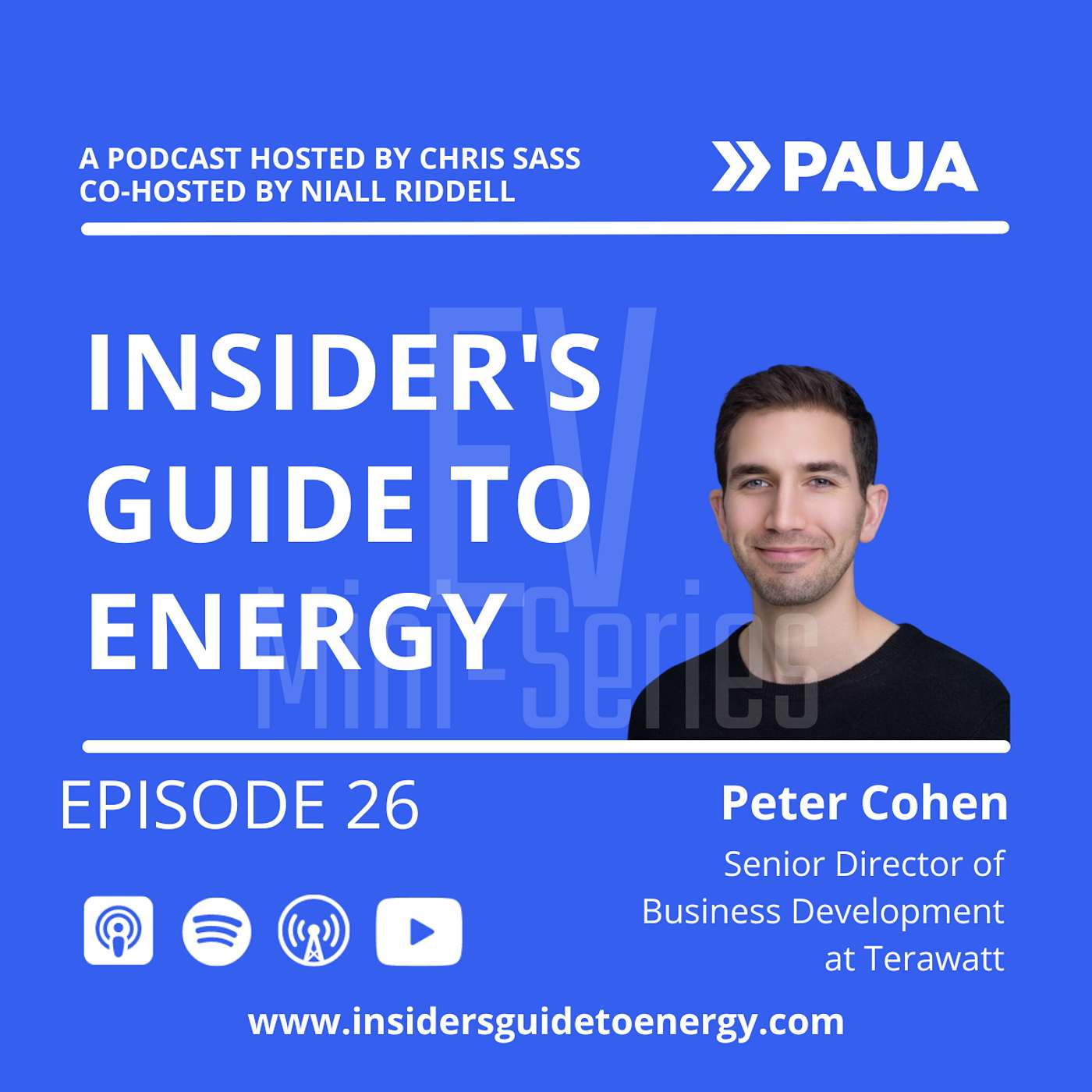 Insider\'s Guide to Energy EV