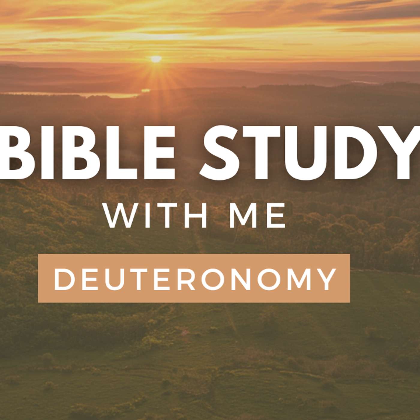 Deuteronomy 8 | When God Strips Everything Away... [Bible Study WITH Me] episode artwork