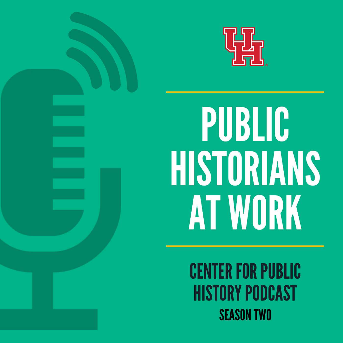 Amplifying History in Healthcare: Ronit Stahl
