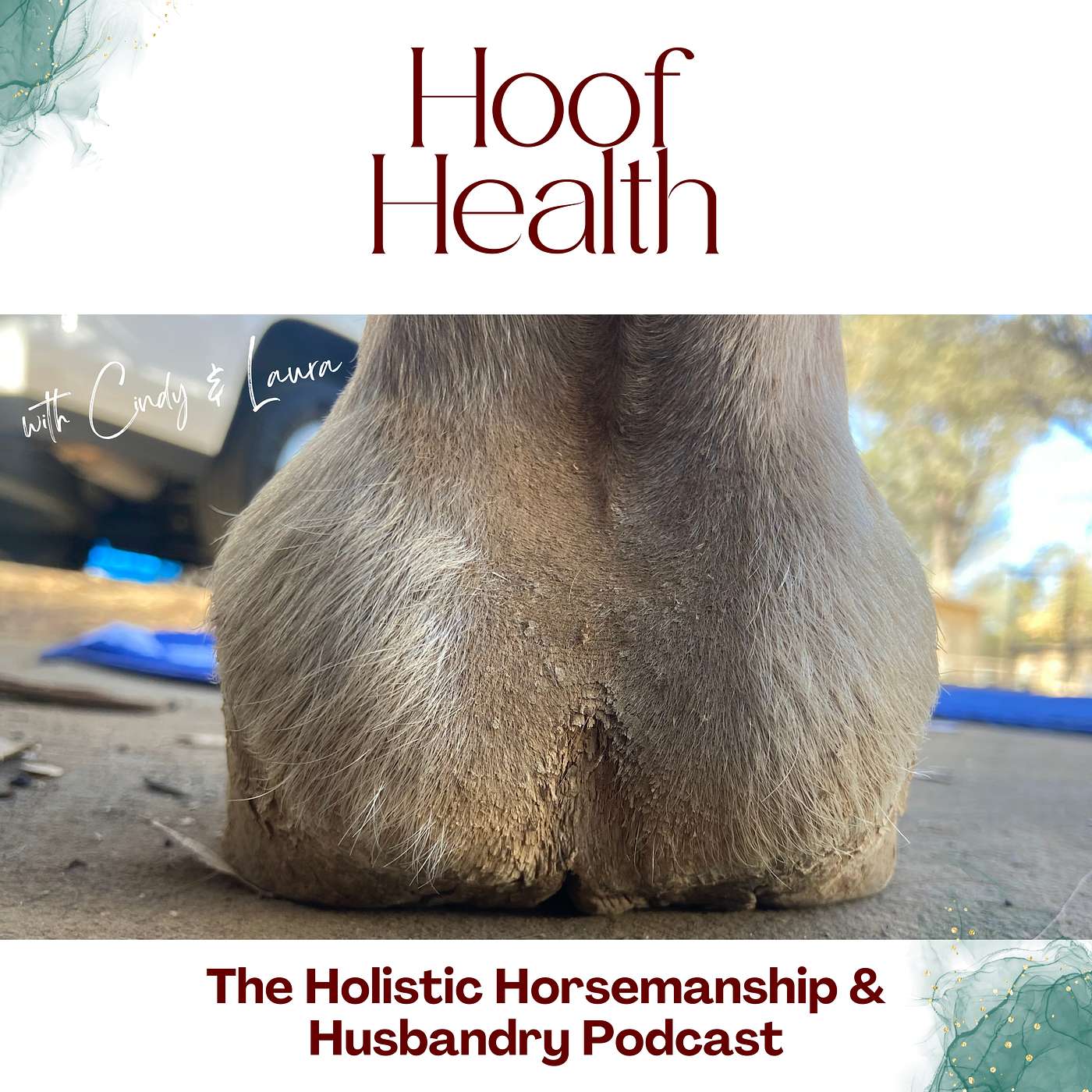 The Holistic Horsemanship and Husbandry Podcast