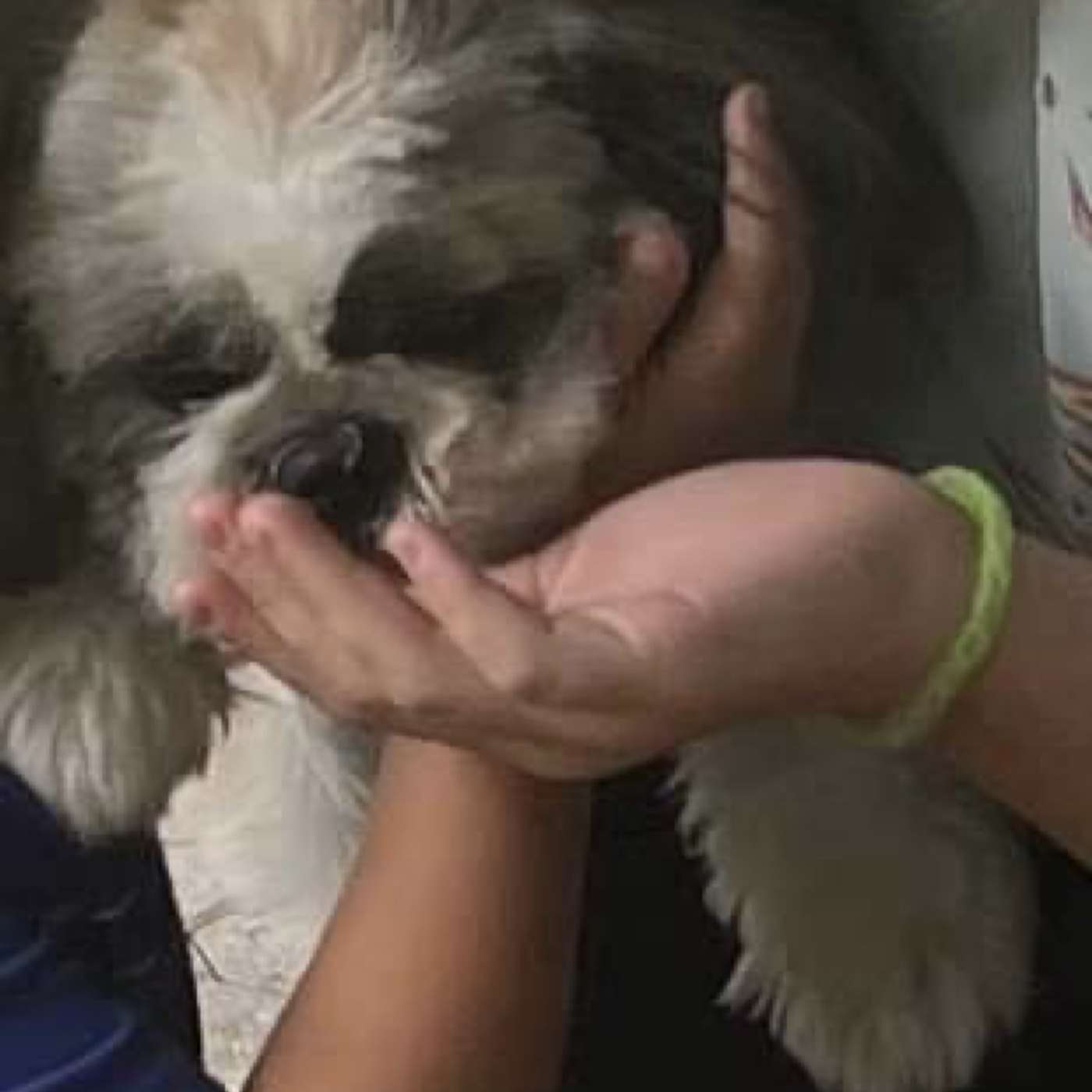 Antonella Giovanna Speaks Out About The Corruption Not Only In Her Appellate Case, But What's Really Going On In Rockland, NY