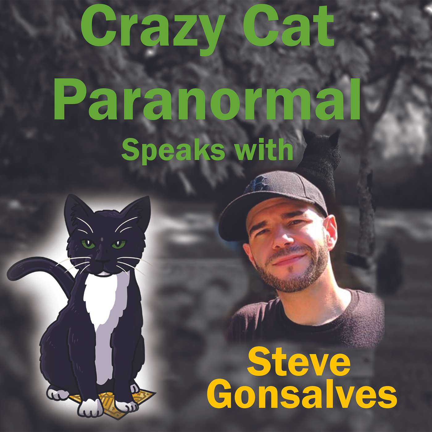 Crazy Cat Paranormal Speaks