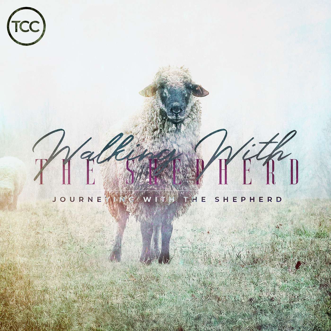 Walking With The Shepherd