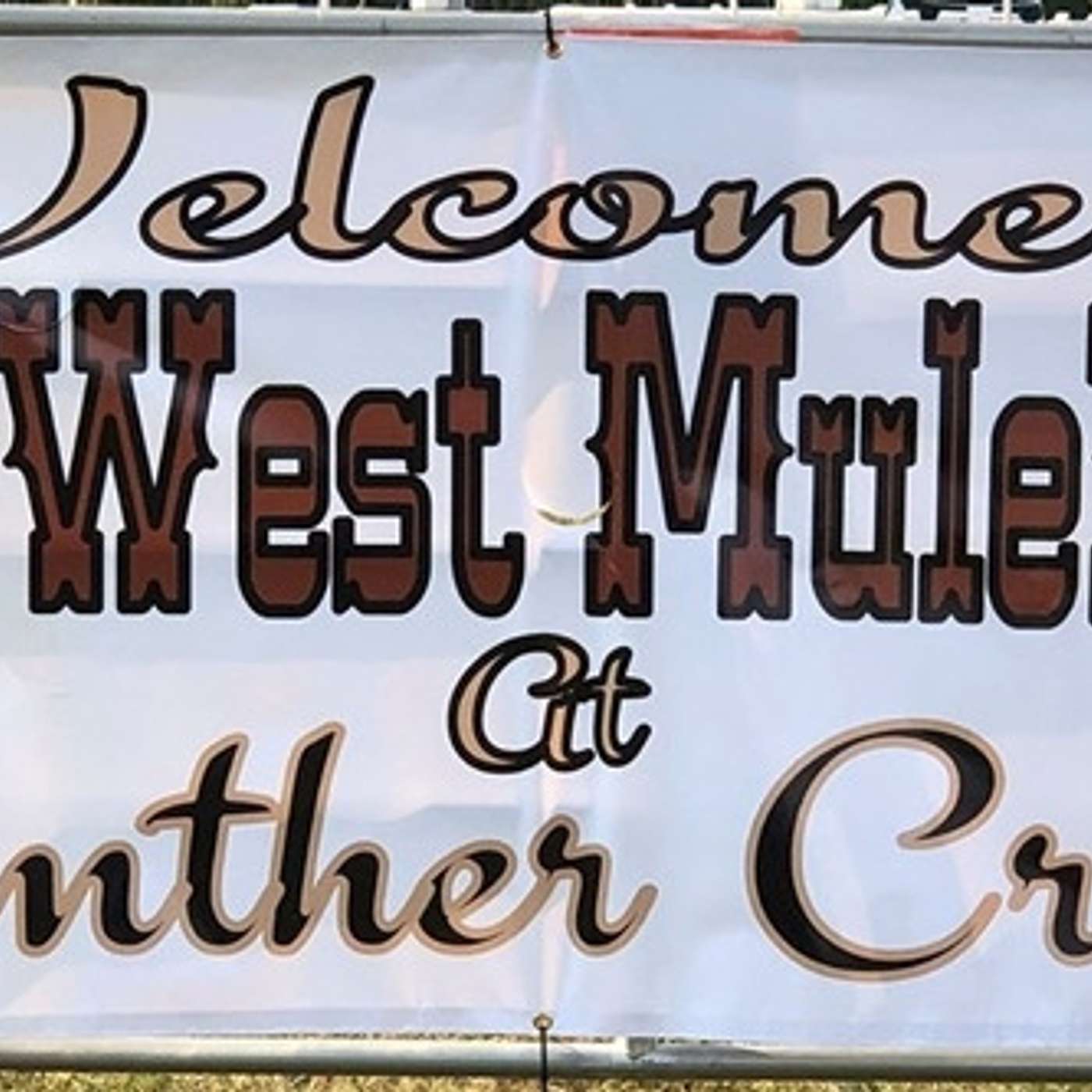 MULE TALK! THE PODCAST ABOUT MULES, MULE TRAINING, AND THE MULE INDUSTRY.