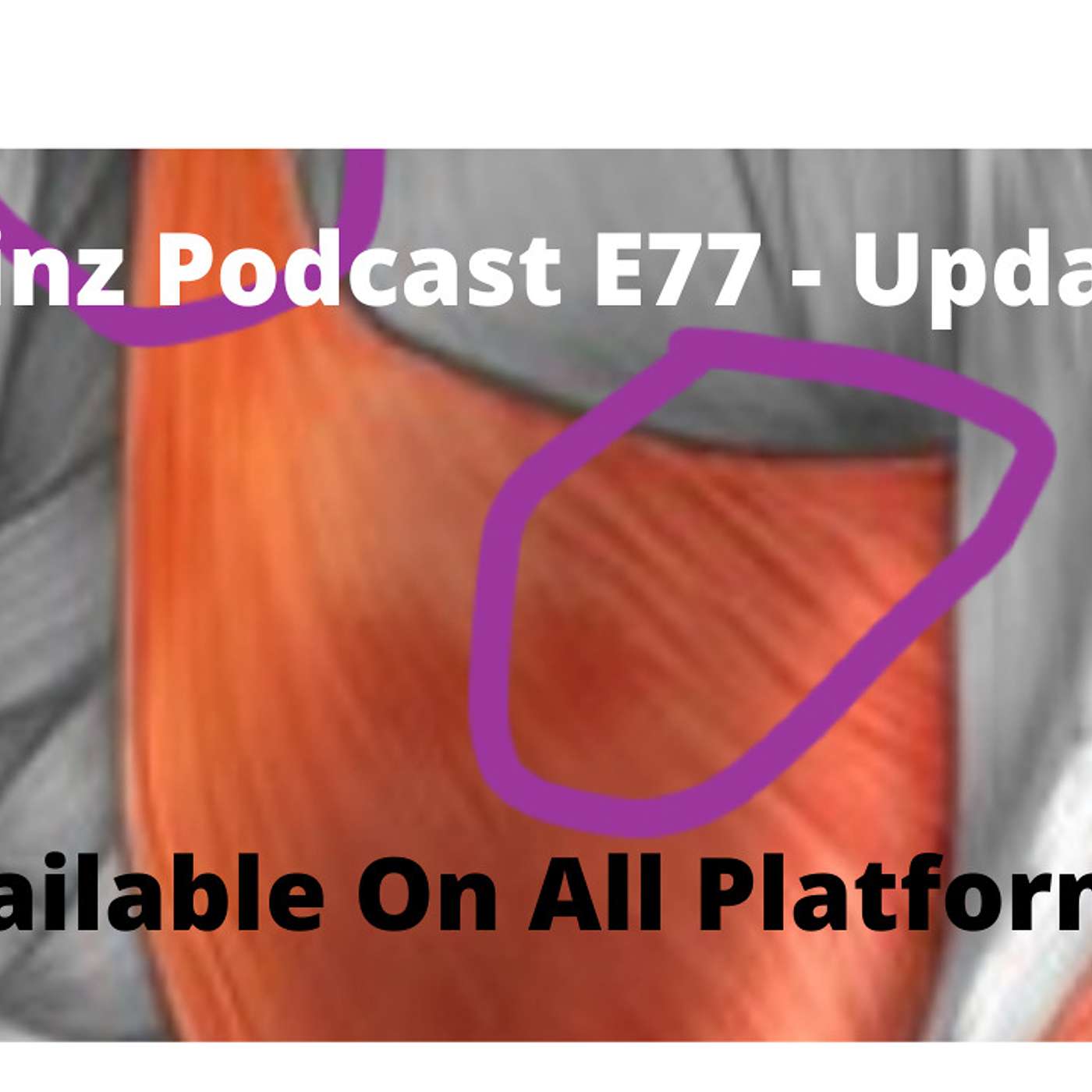 Gainz Podcast
