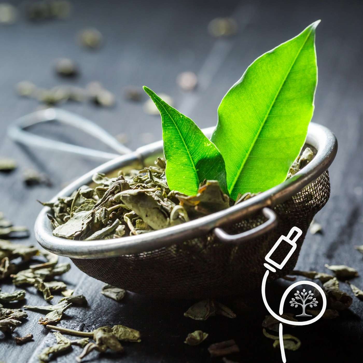 L-Theanine Caffeine Combo: Oh, Behave!