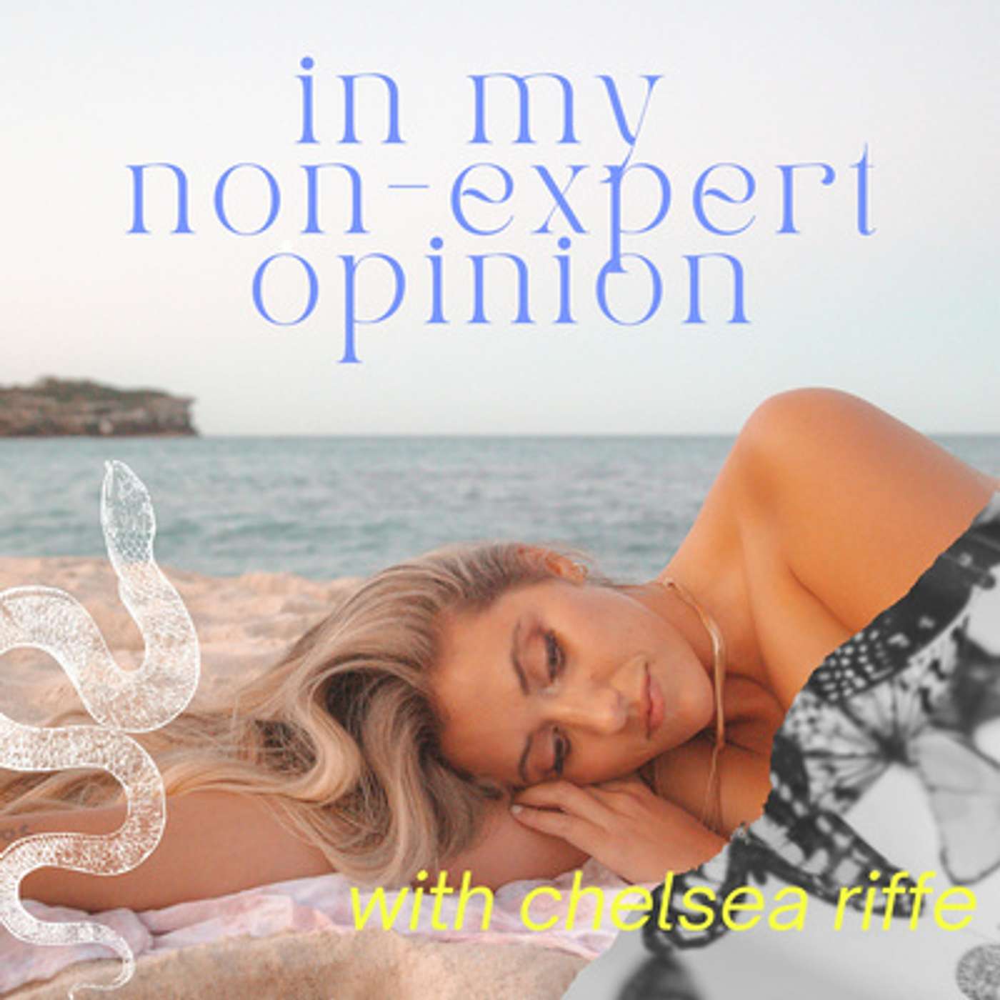 In My Non-Expert Opinion