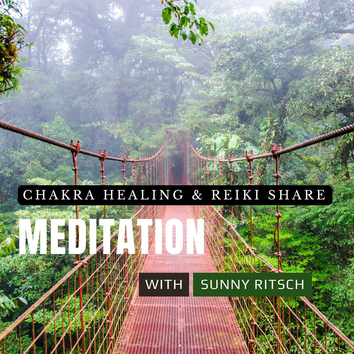 Powerful Chakra Healing and Reiki Share