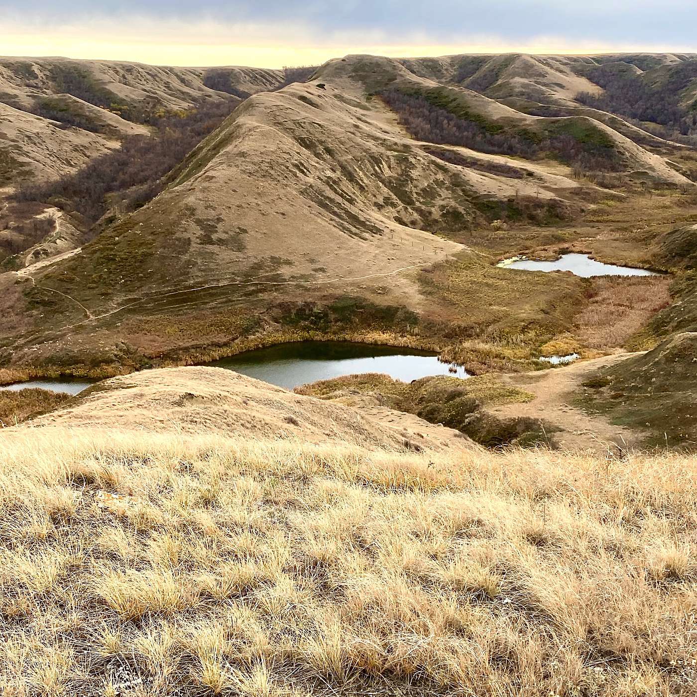 The Melissa Burns 24 Hour Beaver Fever Challenge