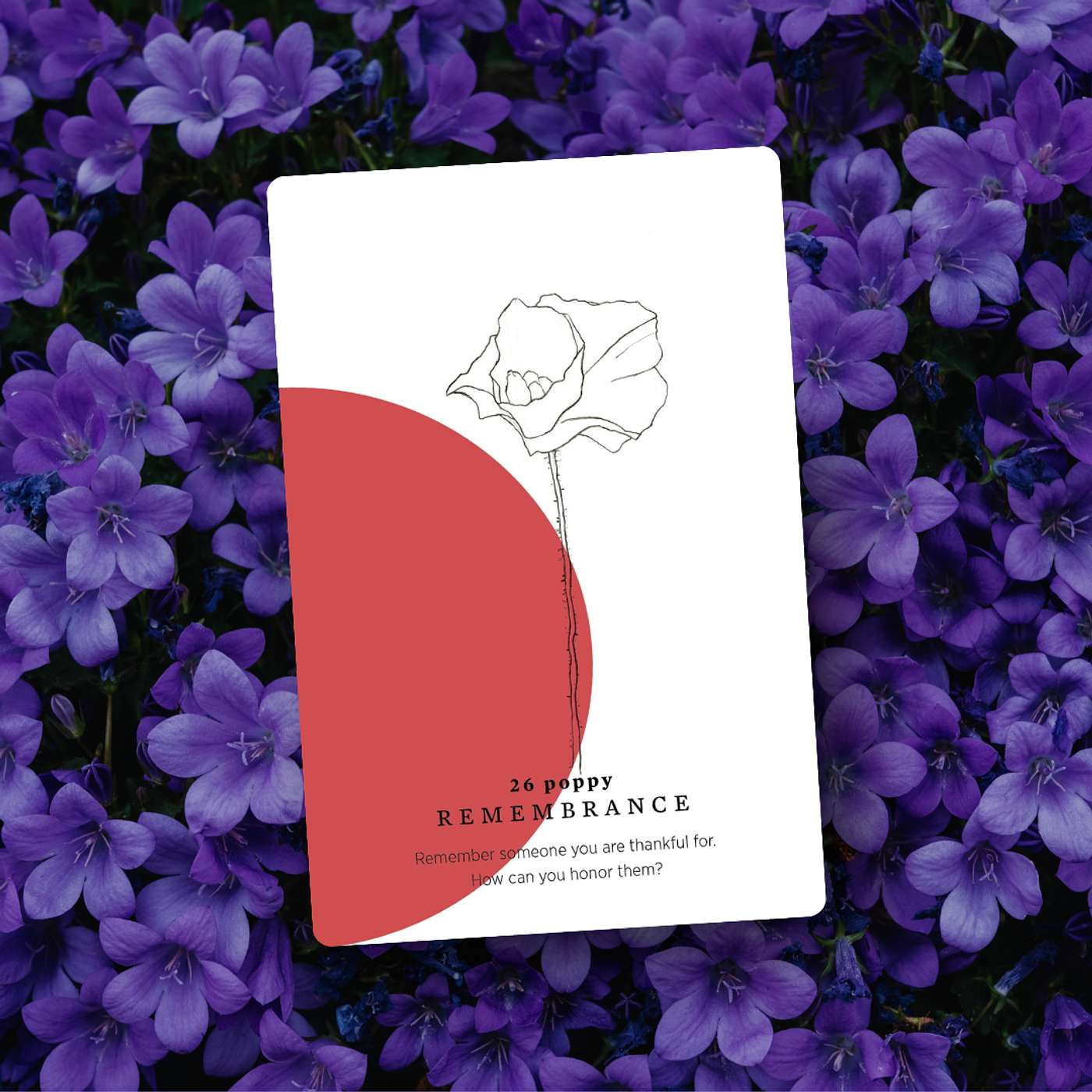 Gratitude Blooming Podcast