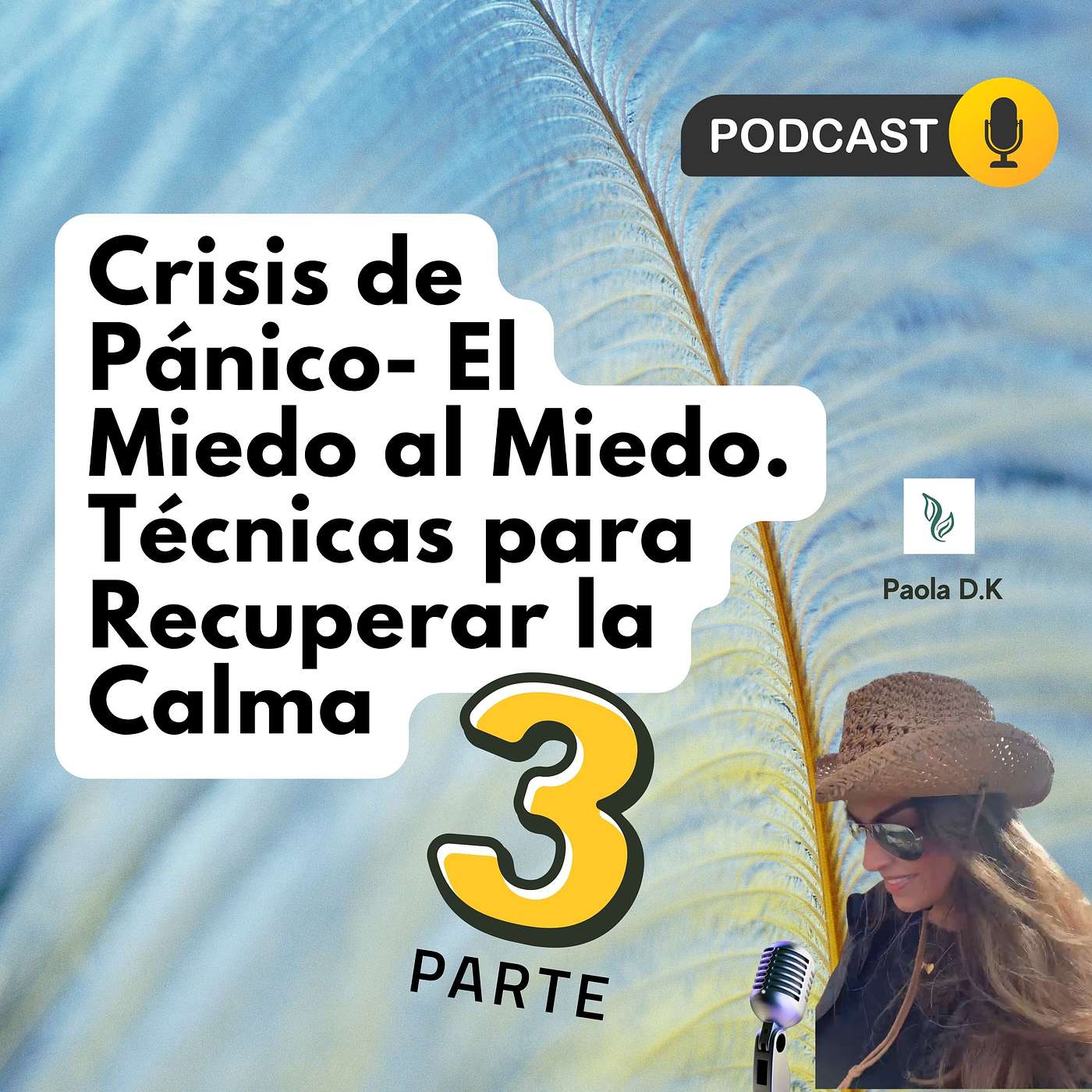 E.3 Crisis de Pánico- El Miedo al Miedo. Técnicas para Recuperar la Calma. episode artwork