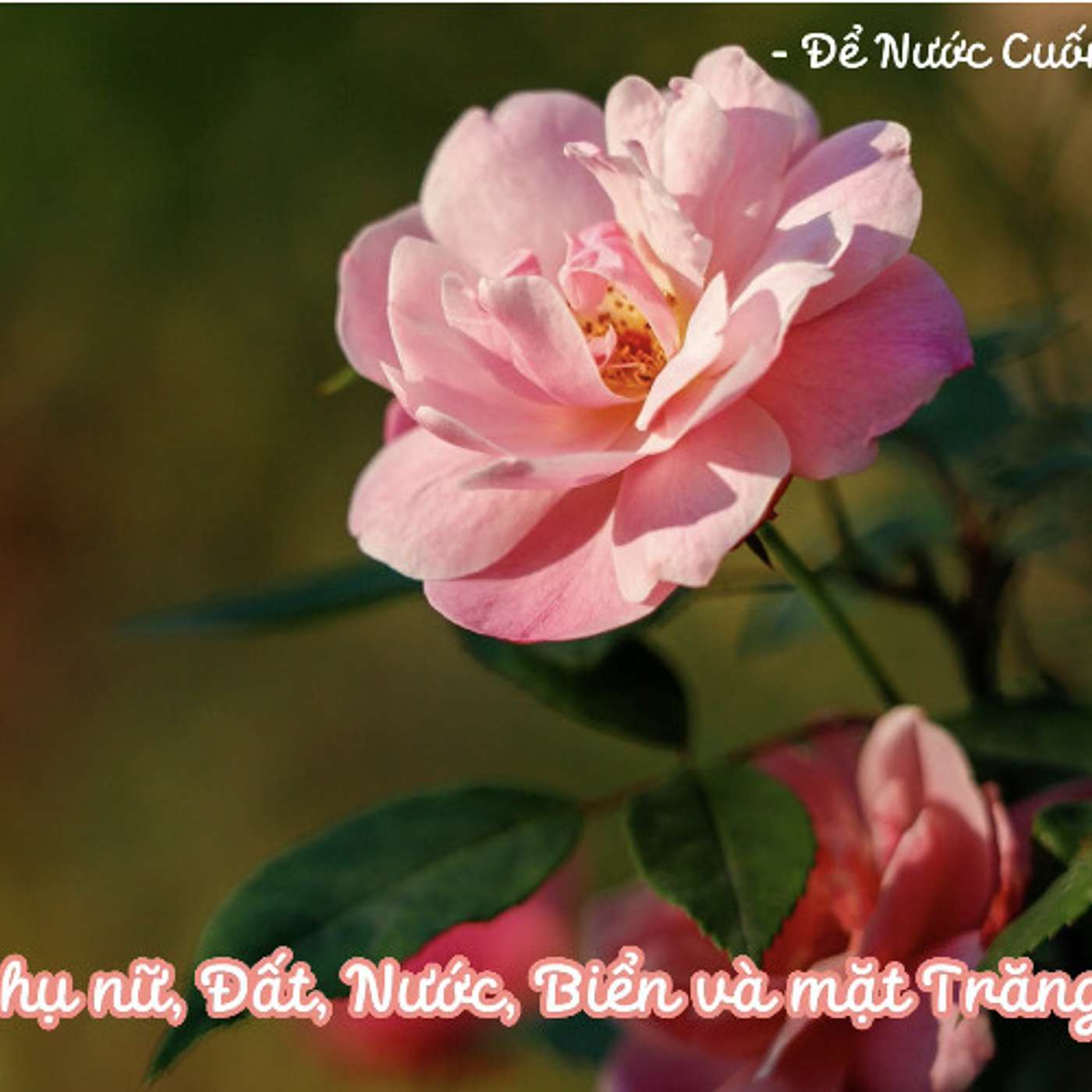 LÀM THẾ NÀO ĐỂ PHỤ NỮ BÌNH AN, KHỎE MẠNH VÀ HẠNH PHÚC HƠN? #1 | PHỤ NỮ, ĐẤT, NƯỚC, BIỂN VÀ MẶT TRĂNG