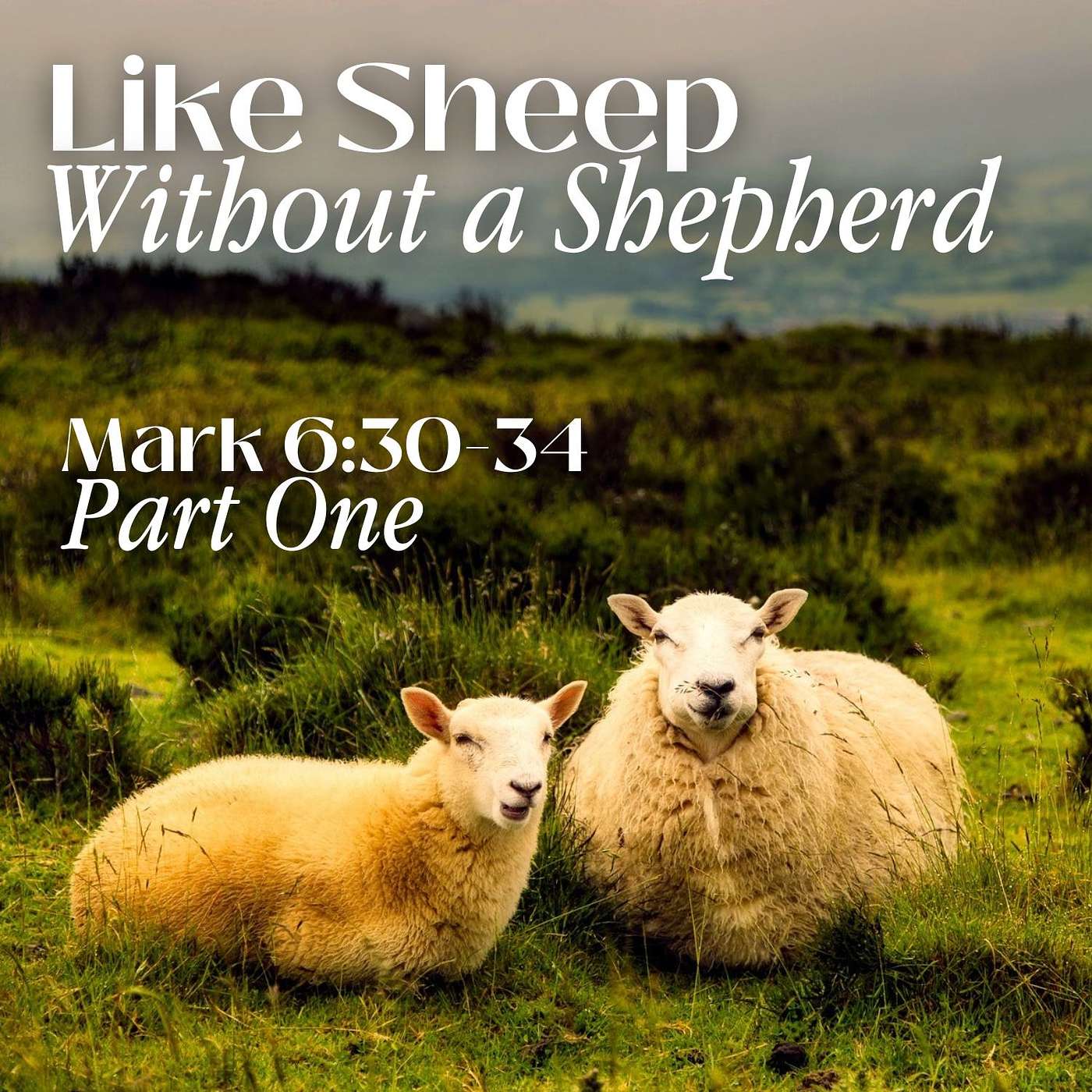 Like Sheep Without a Shepherd, Part 1; Mark 6:30-34
