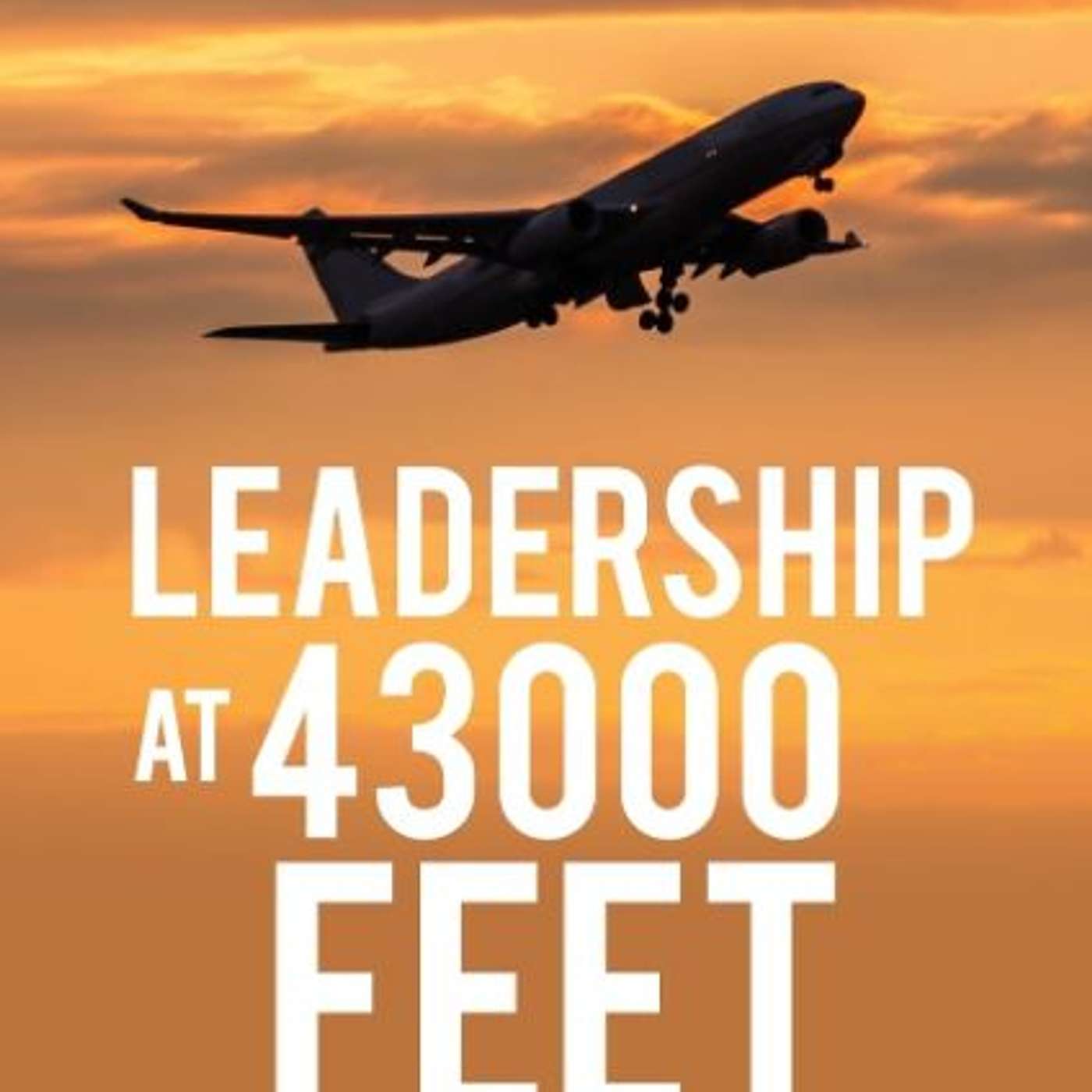 Leadership at 43000 Feet: Real Leaders don't need a title, interview with author Chris Smith