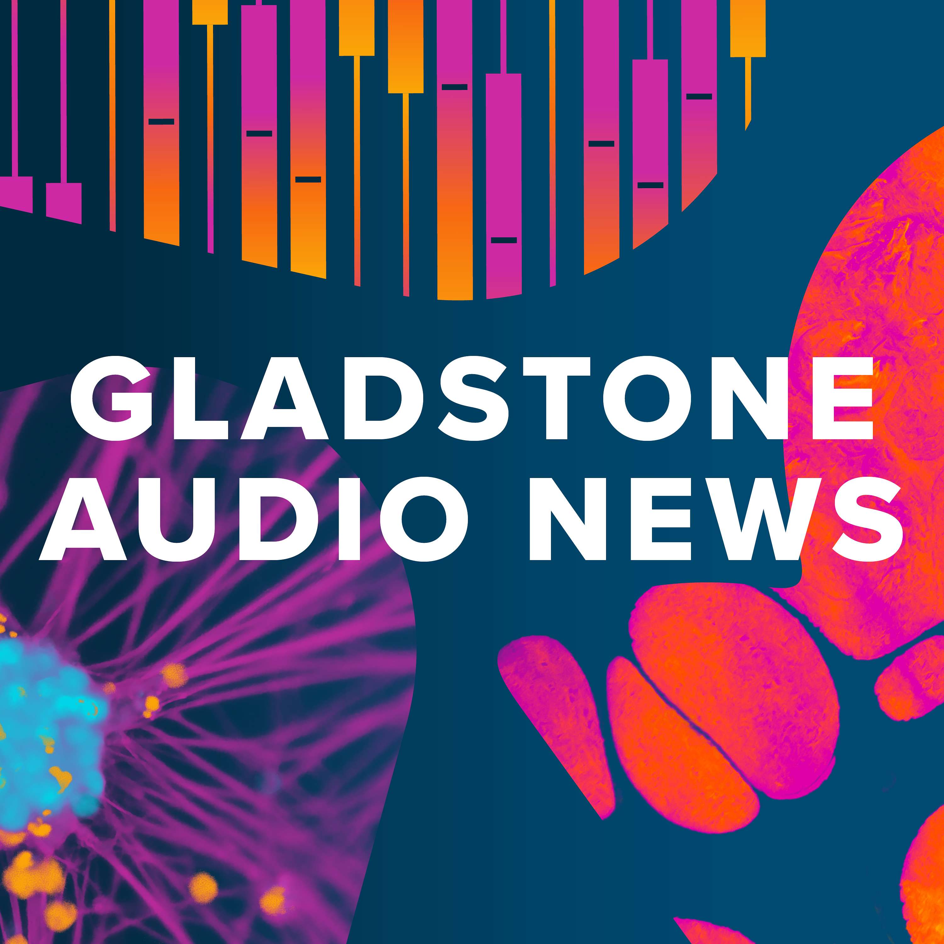 Gladstone Audio News