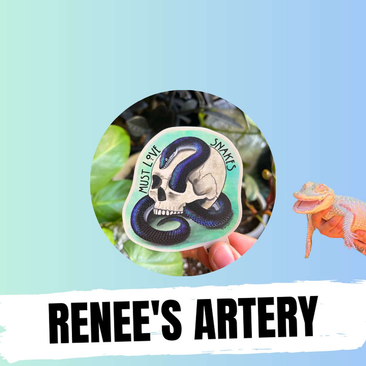 Renee goes over all the species of lizards she keeps & breeds