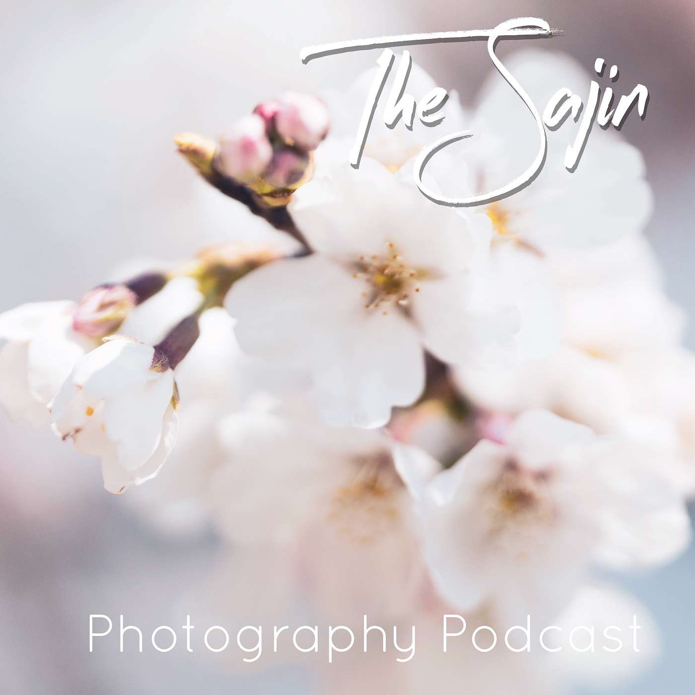 Season 2 - Episode 14: Cherry Blossoms in Korea
