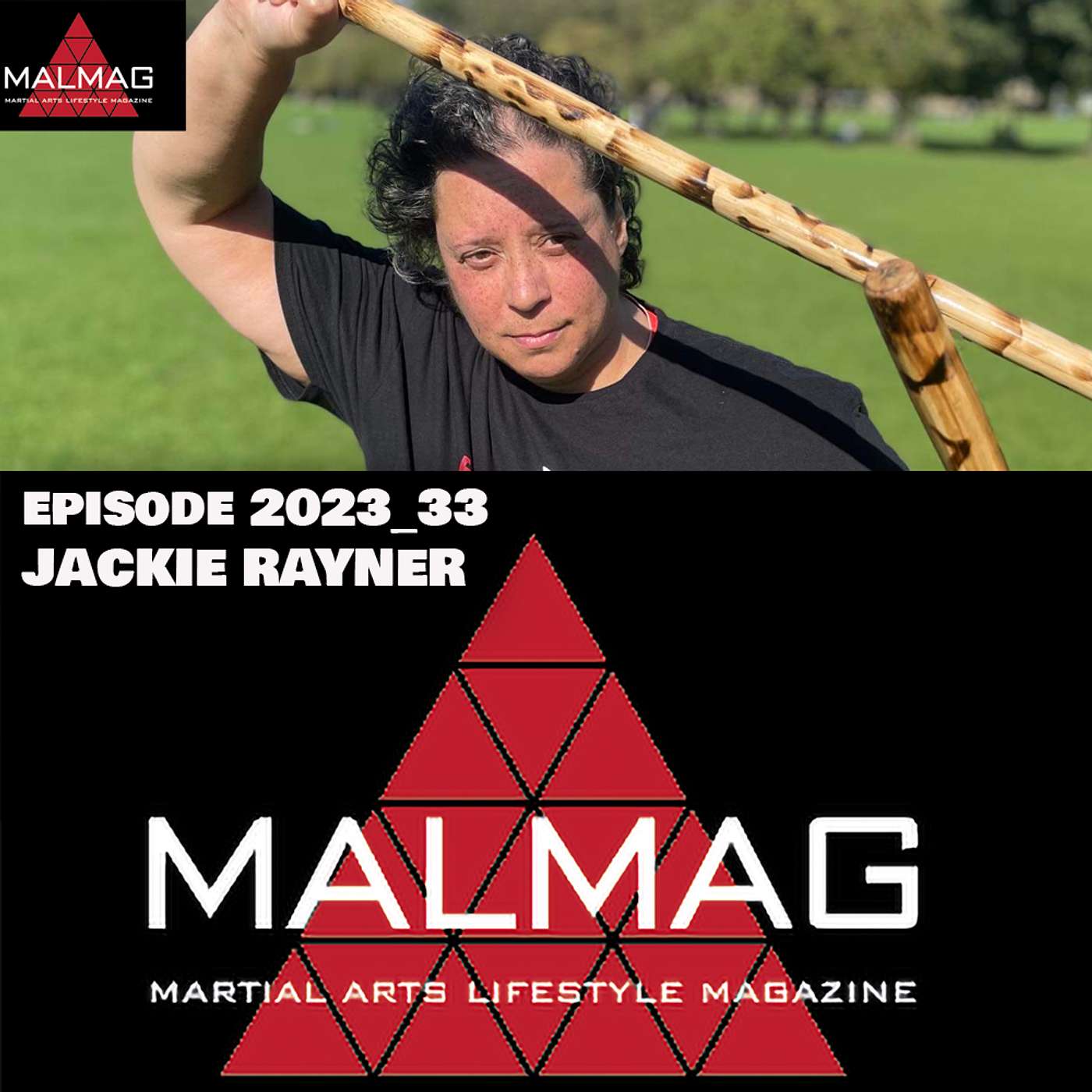 The Martial Arts Lifestyle Podcast