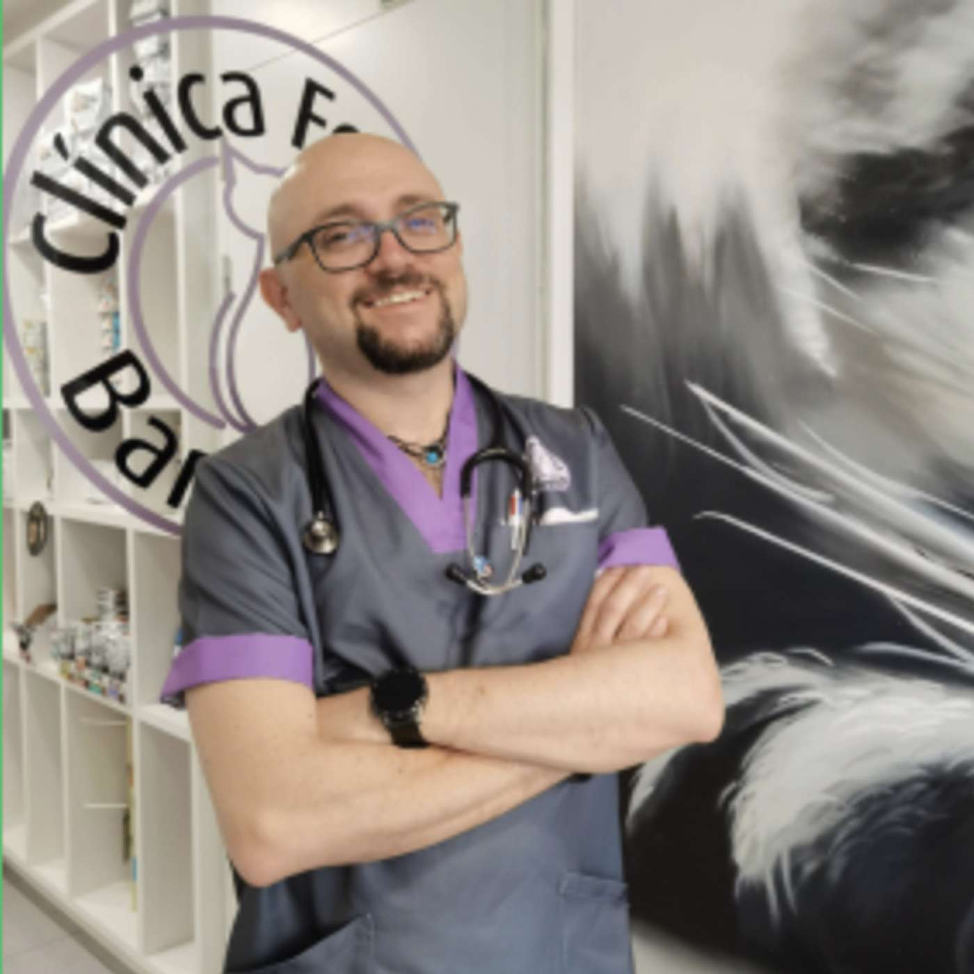 Pregunta al experto 4 | Manejo de la pérdida de peso en el gato, ¿qué hay de nuevo a nivel farmacológico? | Patrocinado por Eluracat™ de Elanco episode artwork