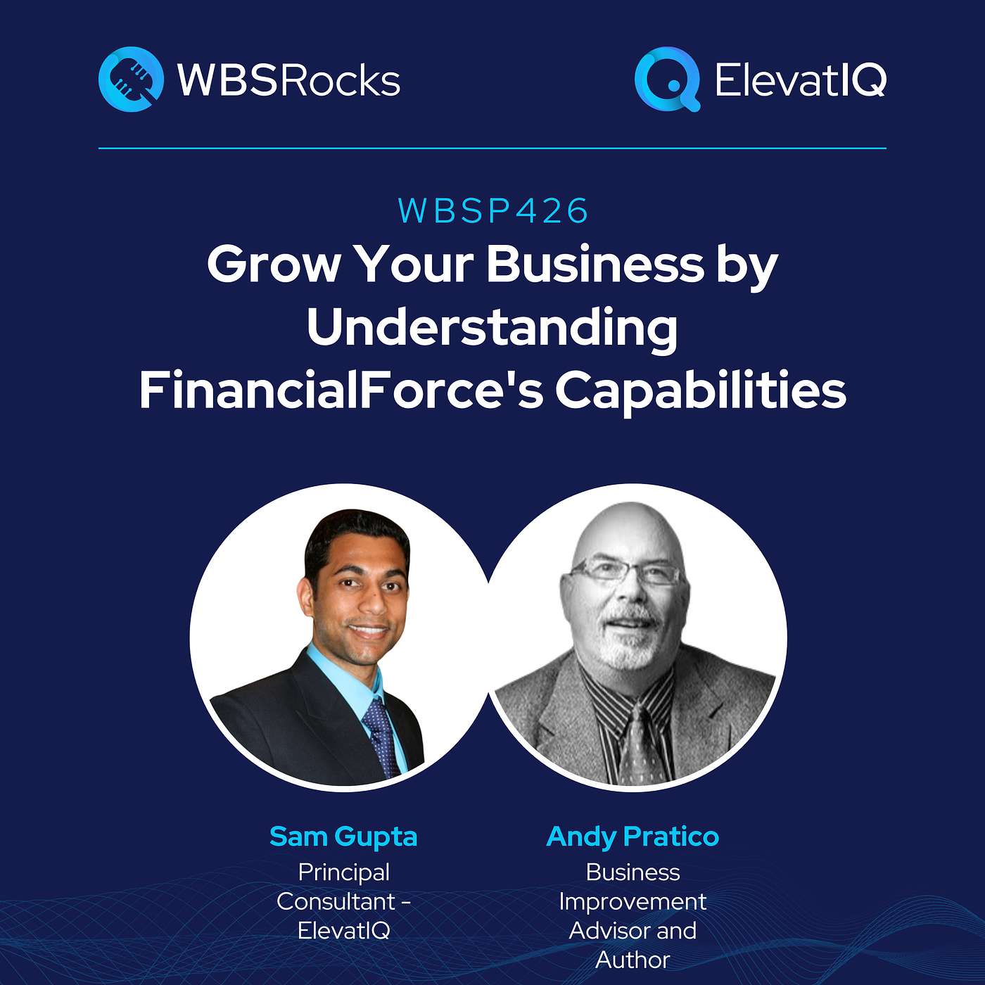 WBSRocks: Business Growth with Enterprise Software and Digital Transformation