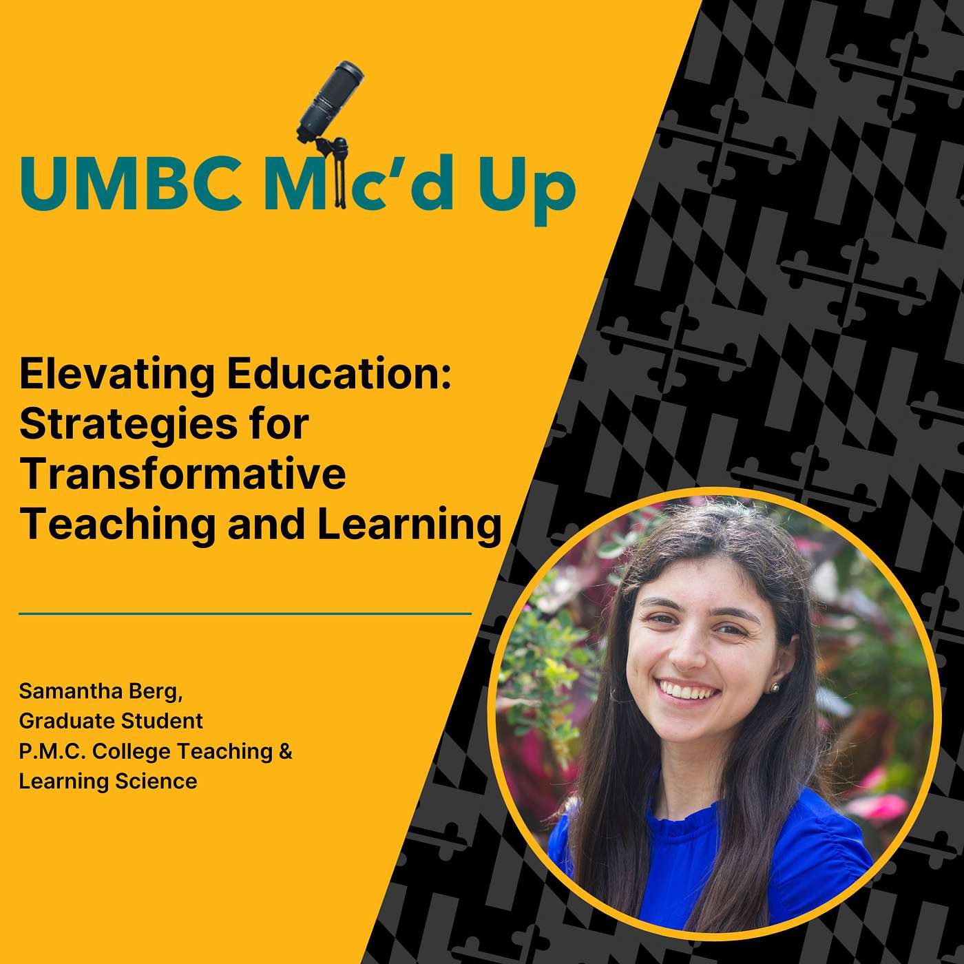 Elevating Education: Strategies for Transformative Teaching and Learning episode artwork