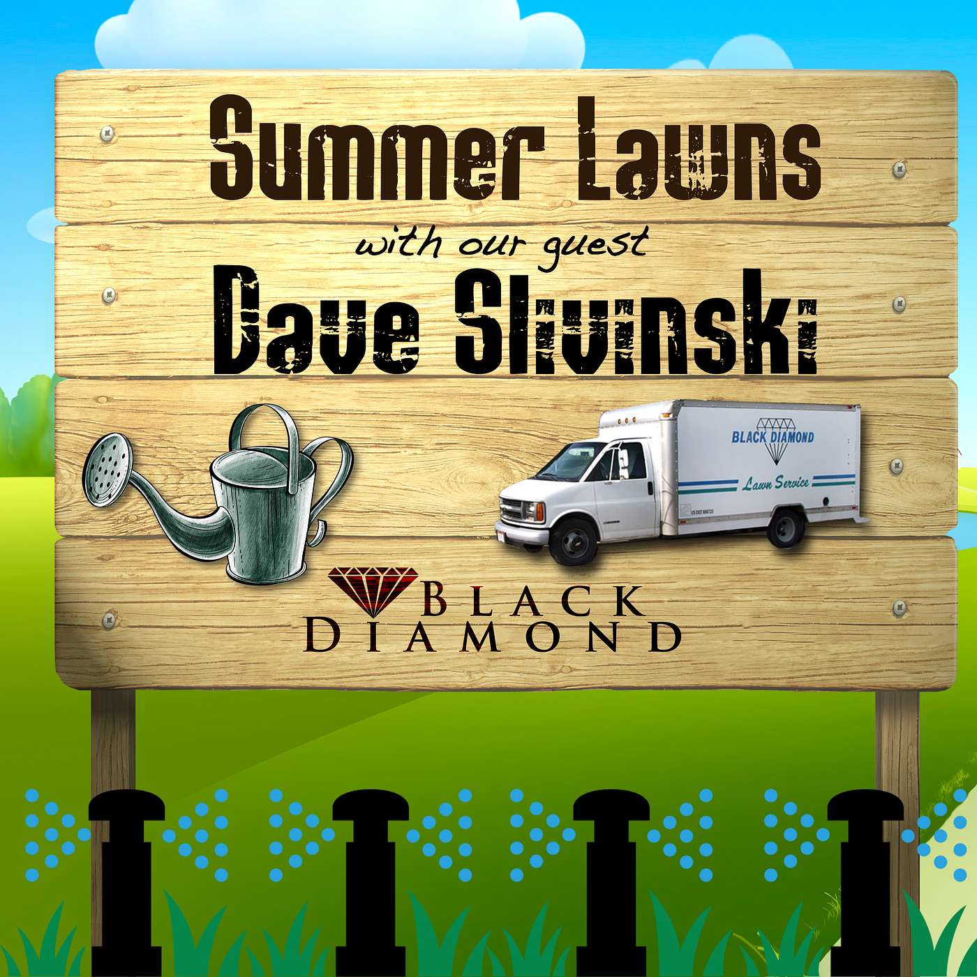 Summer Lawn Service Basics