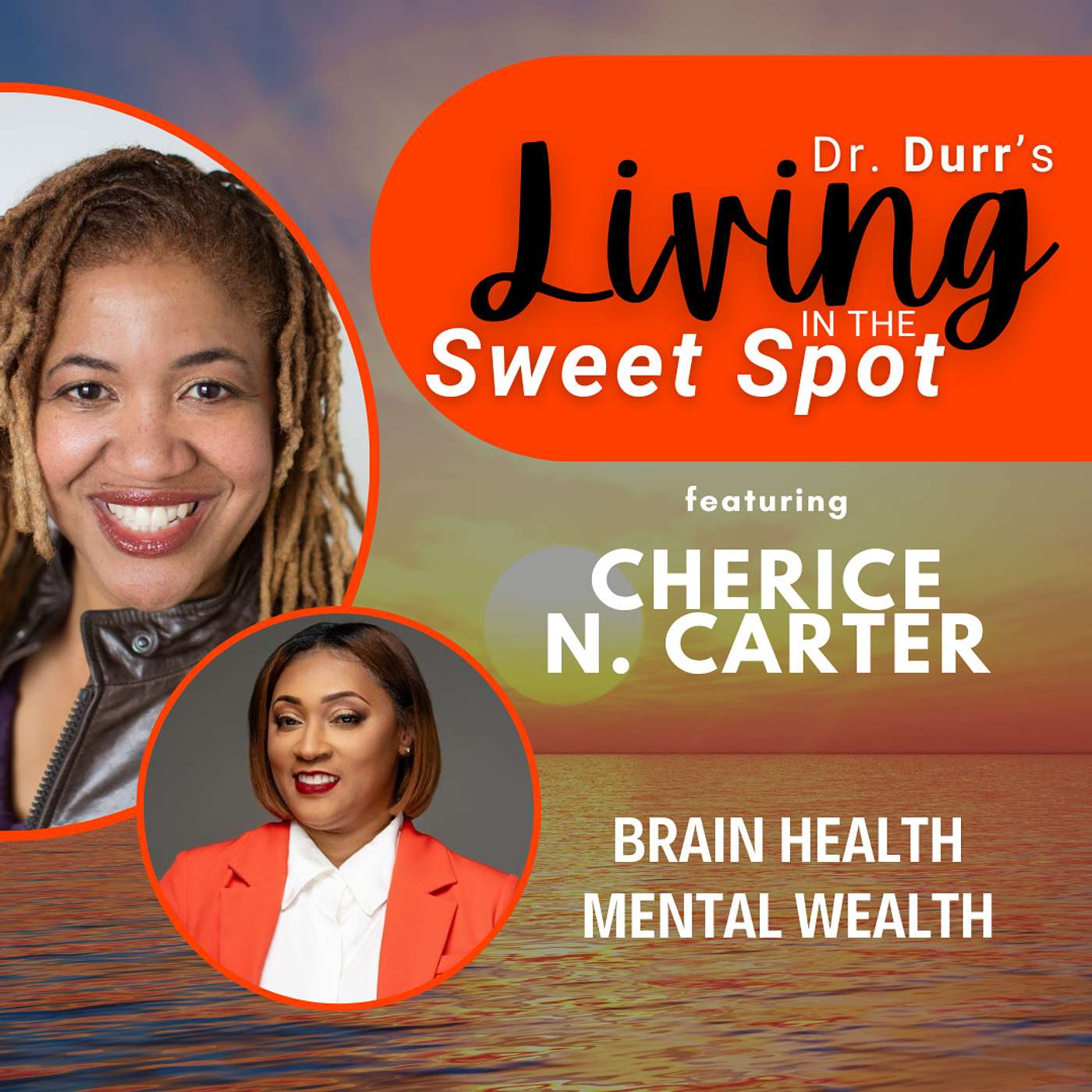 S2 E13 Divorce Doesn’t Have to Suck | Cherice N. Carter | Balin A. Durr, MD