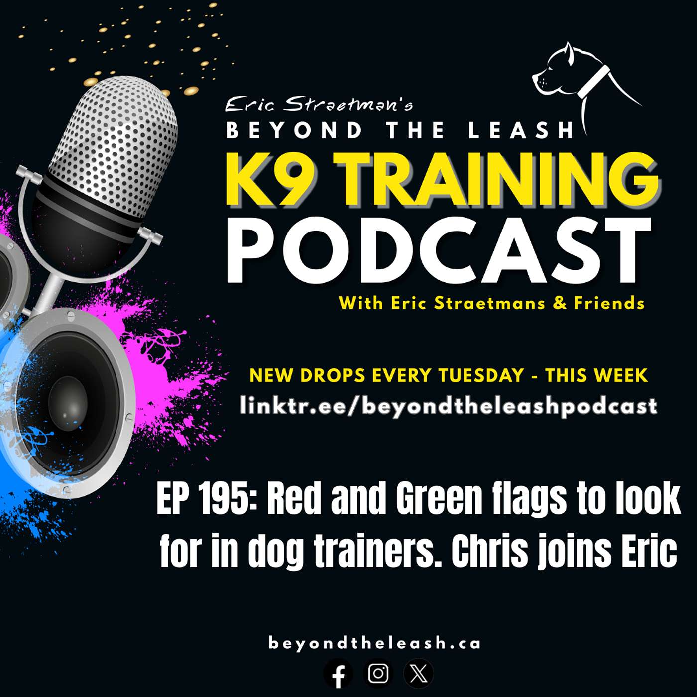 Ep 195: Red and Green flags to look for in dog trainers