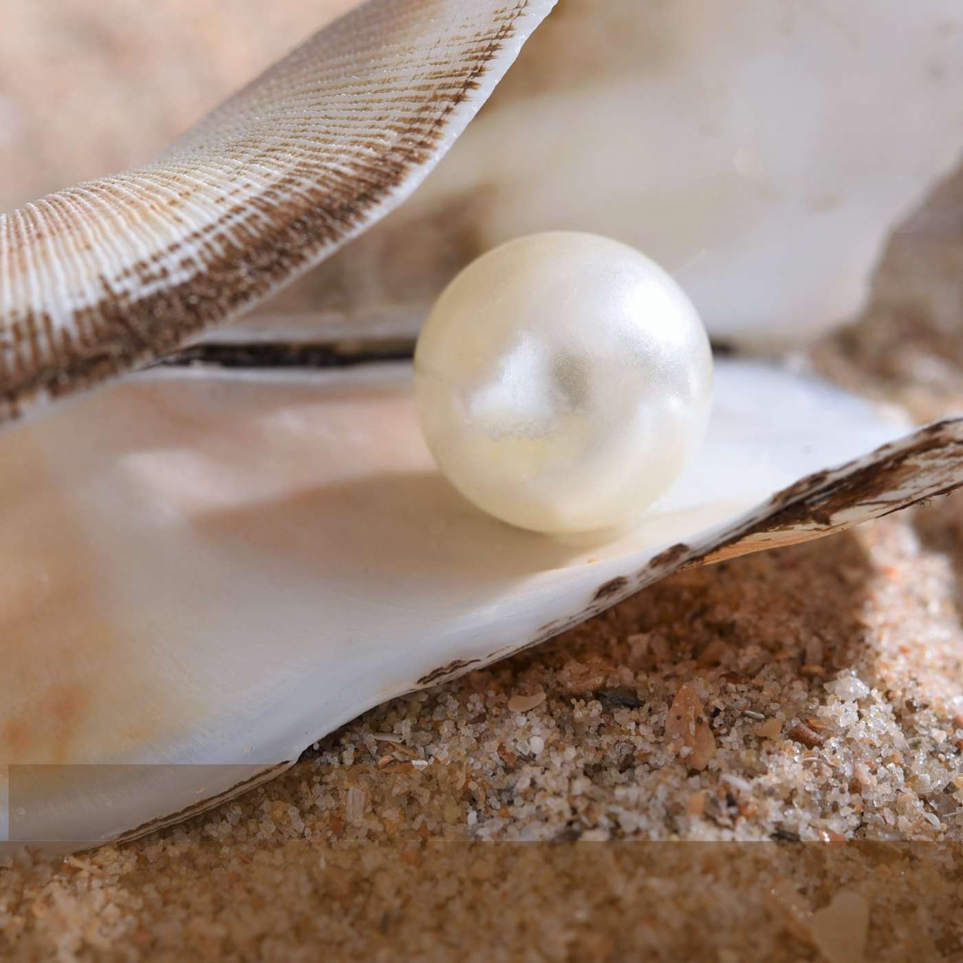 7 Pearls of Wisdom From the Parable of the 10 Virgins