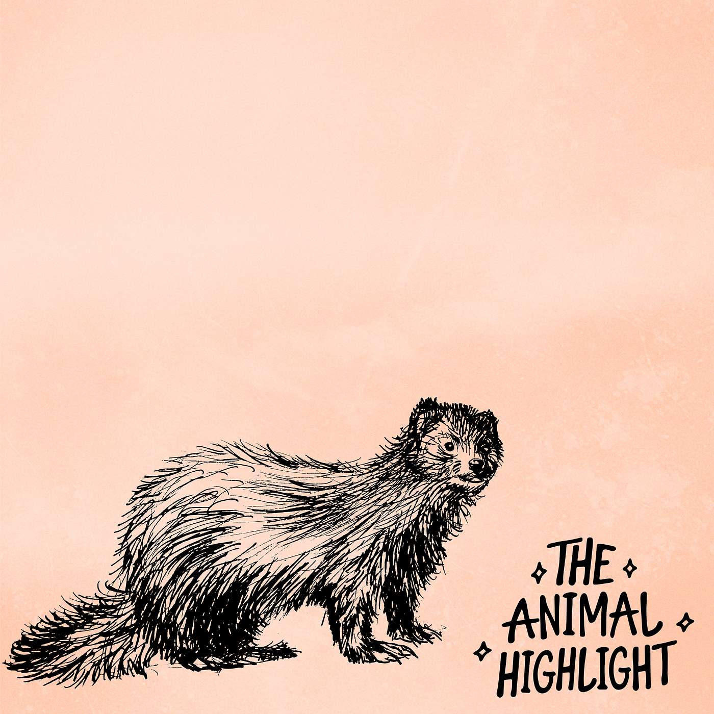 The Animal Highlight