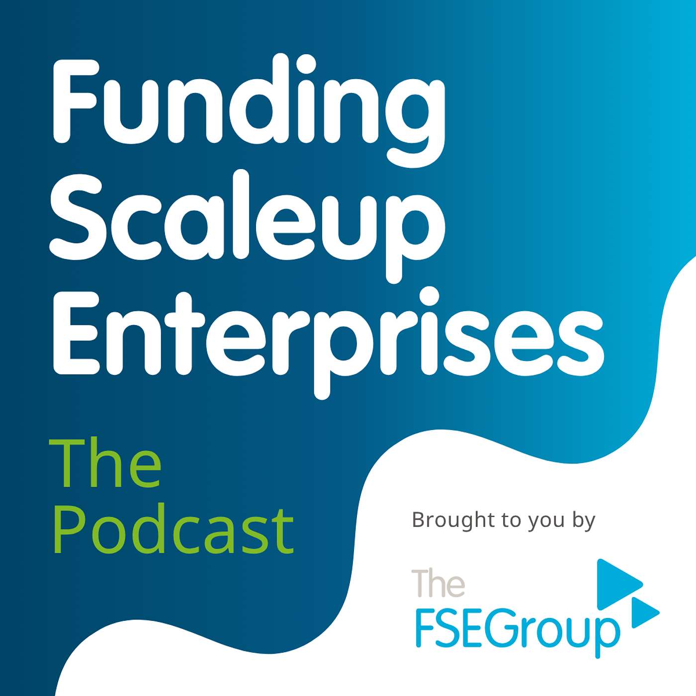 Funding Scaleup Enterprises | The Podcast podcast artwork