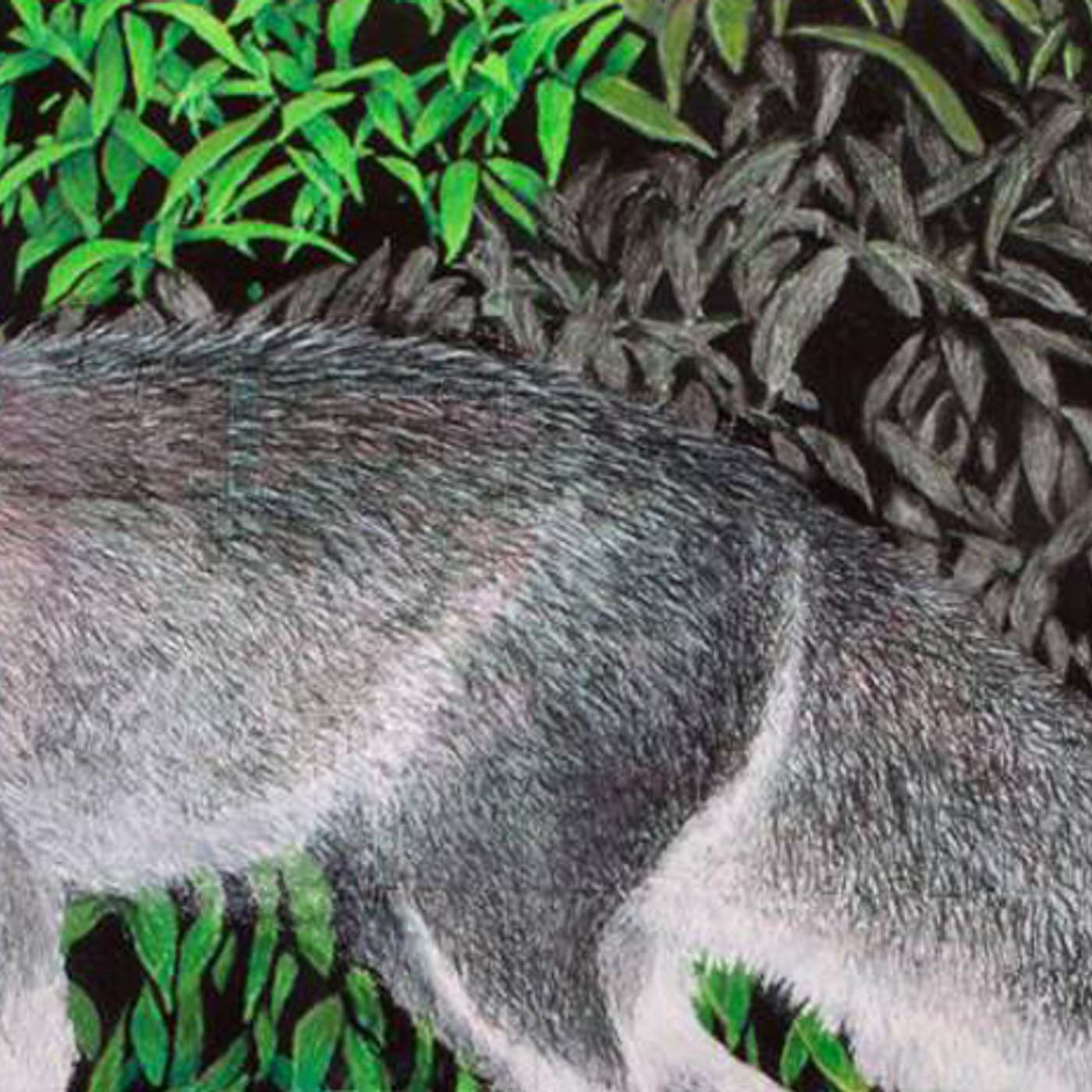 An Artist Asks the 20 Most Important Scientific Questions of the 21st Century