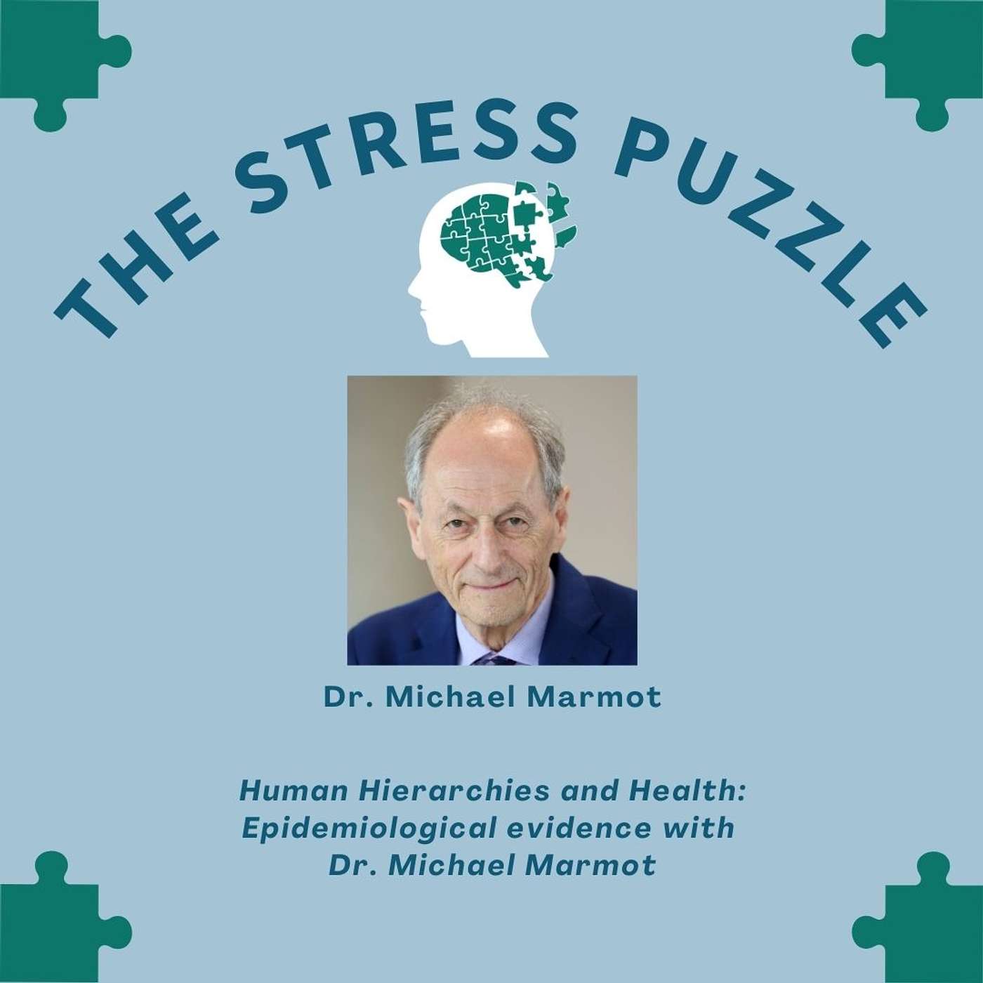 The Stress Puzzle