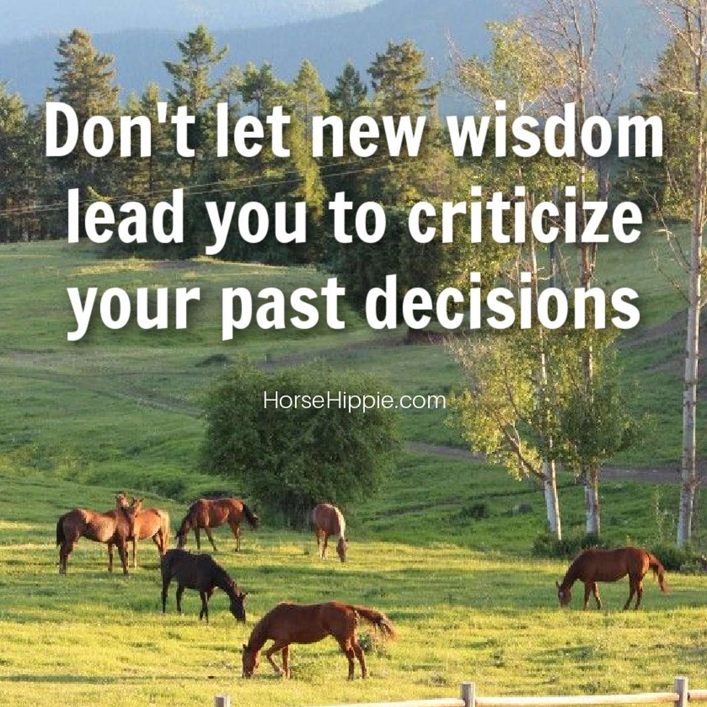New Wisdom