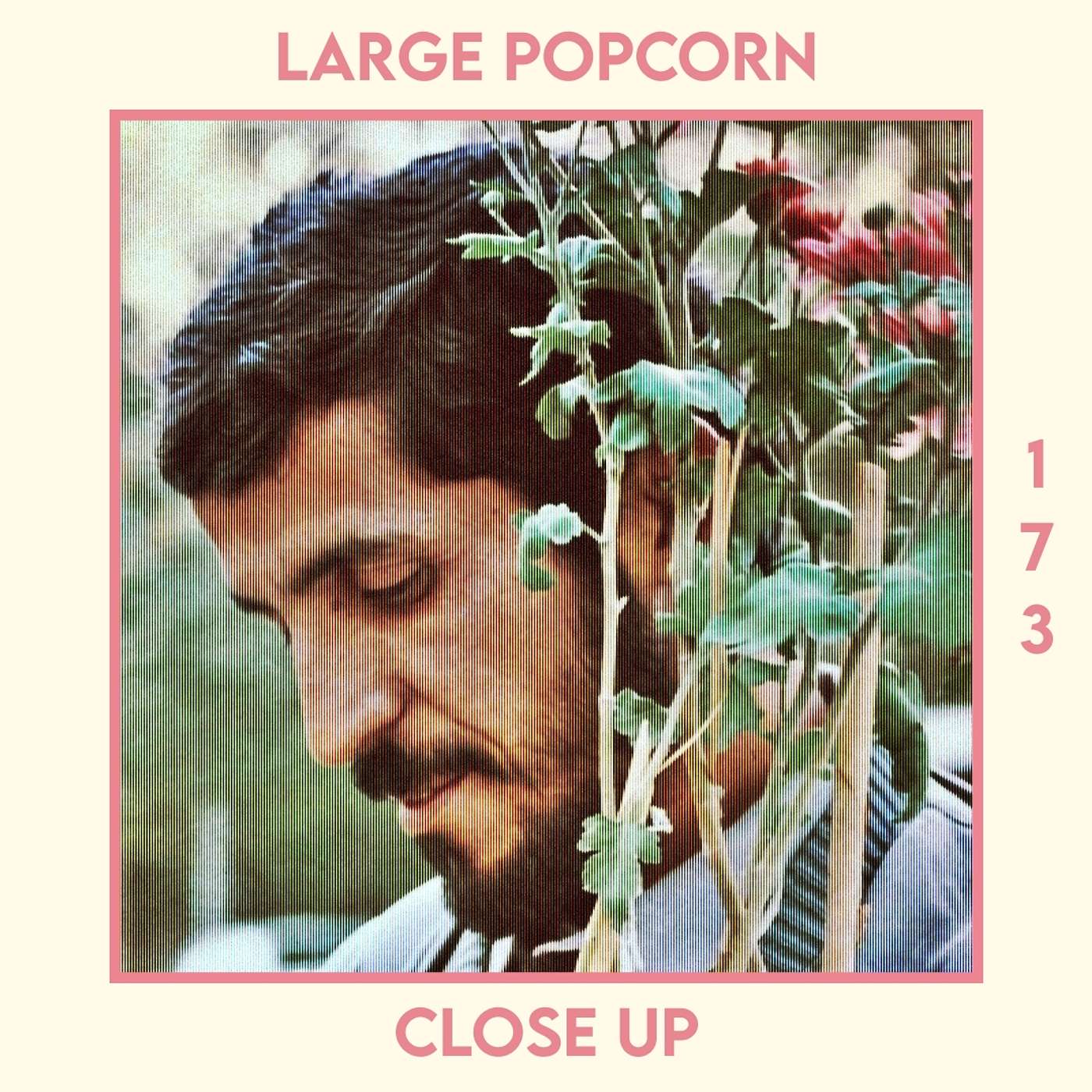 Large Popcorn: A Movie Podcast