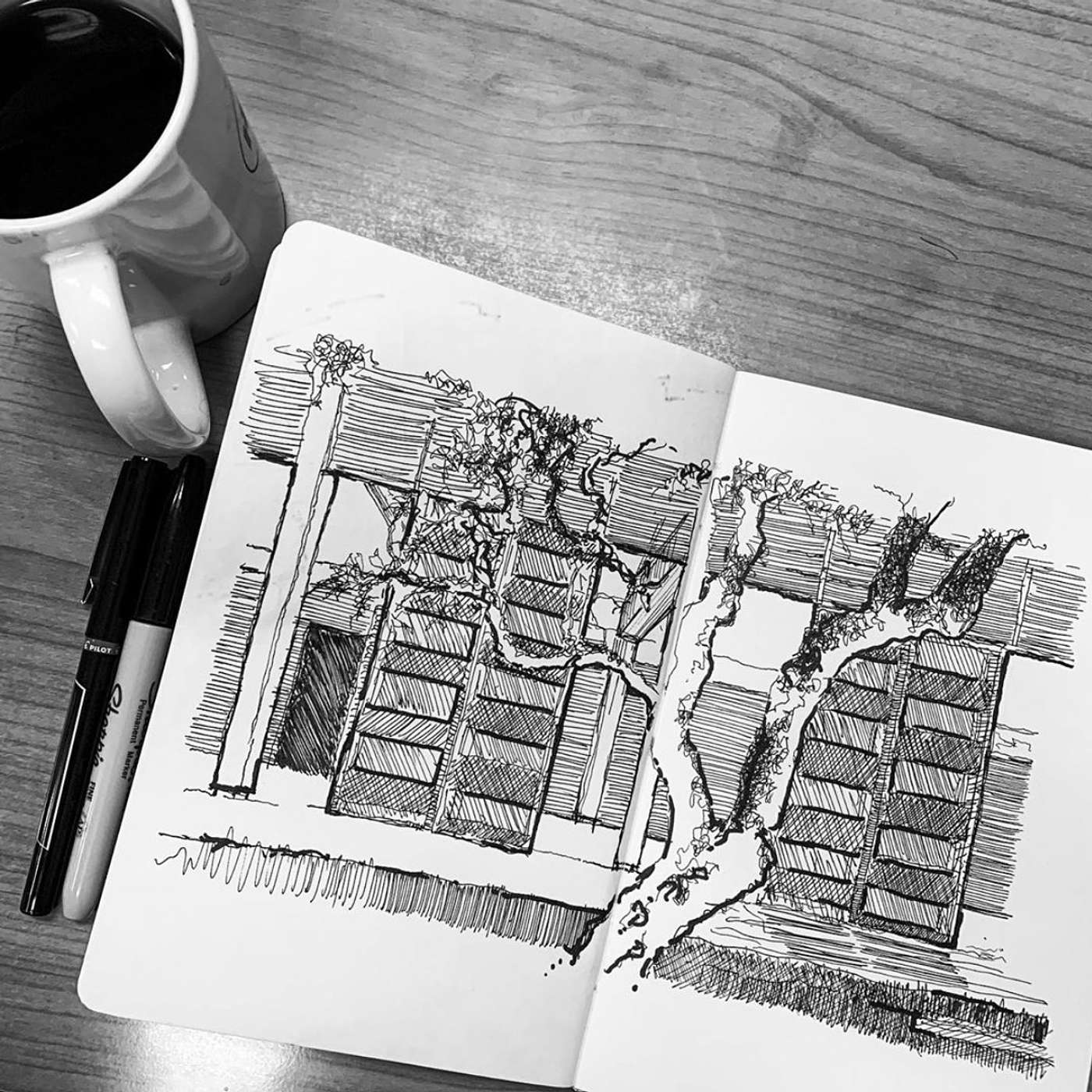 032 - Between the Natural and the Manmade