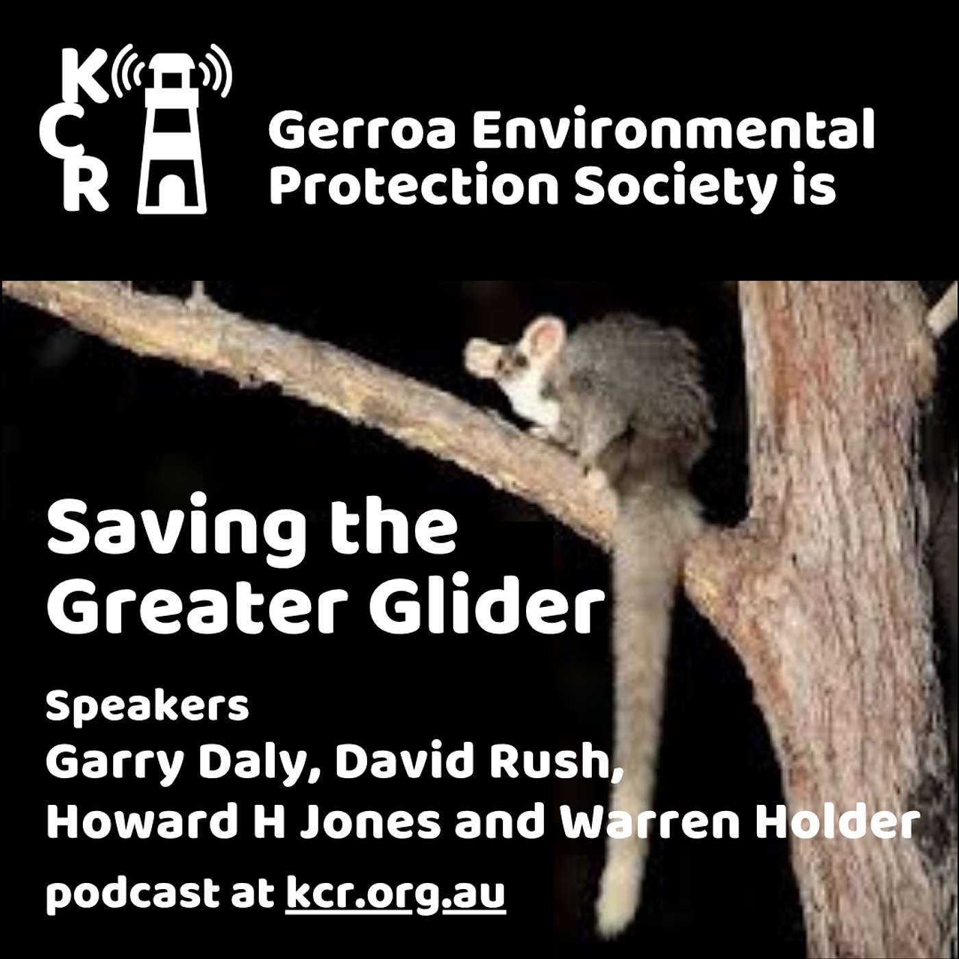 Saving the Greater Glider episode artwork